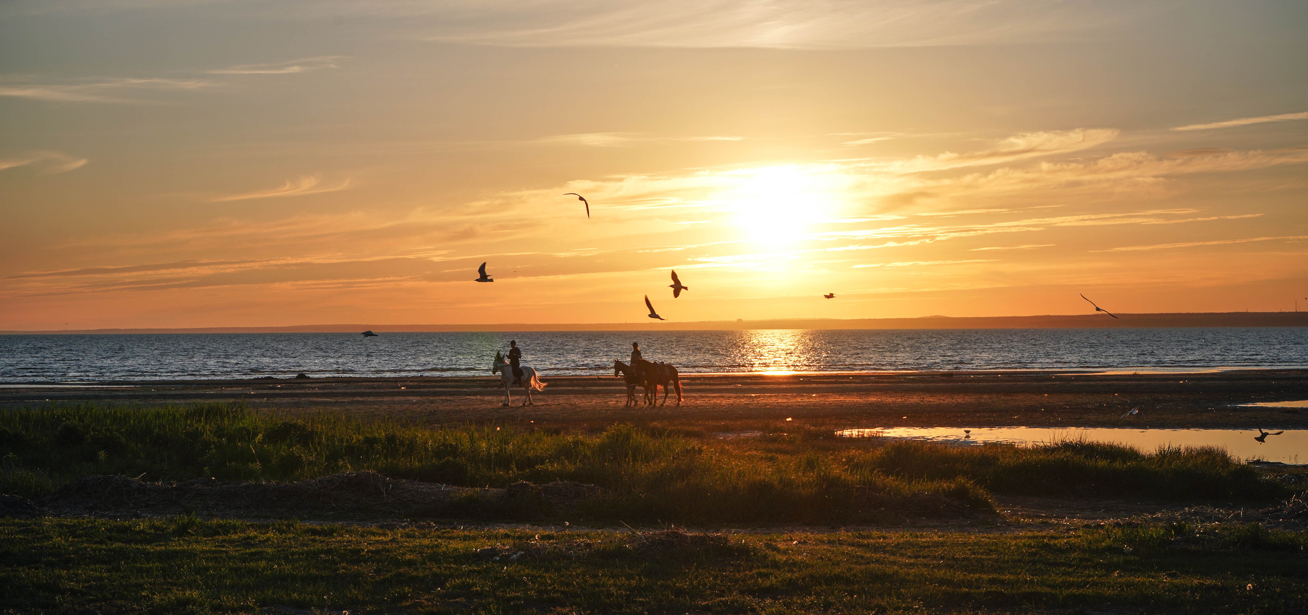 ПЕЙЗАЖИ. Стрит-фотография, полная абсурда, идиотизма и красоты