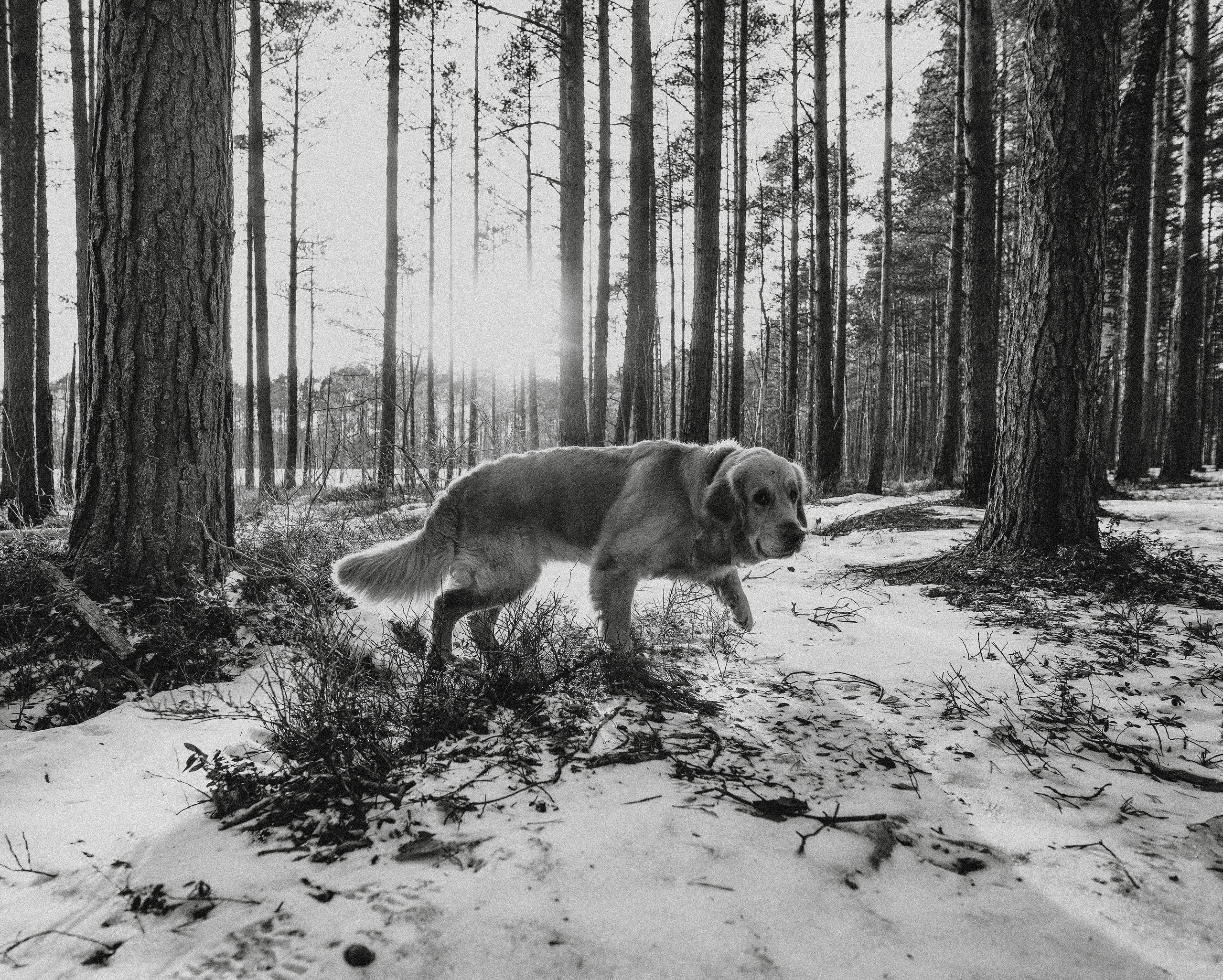 2022. Стрит-фотография, полная абсурда, идиотизма и красоты