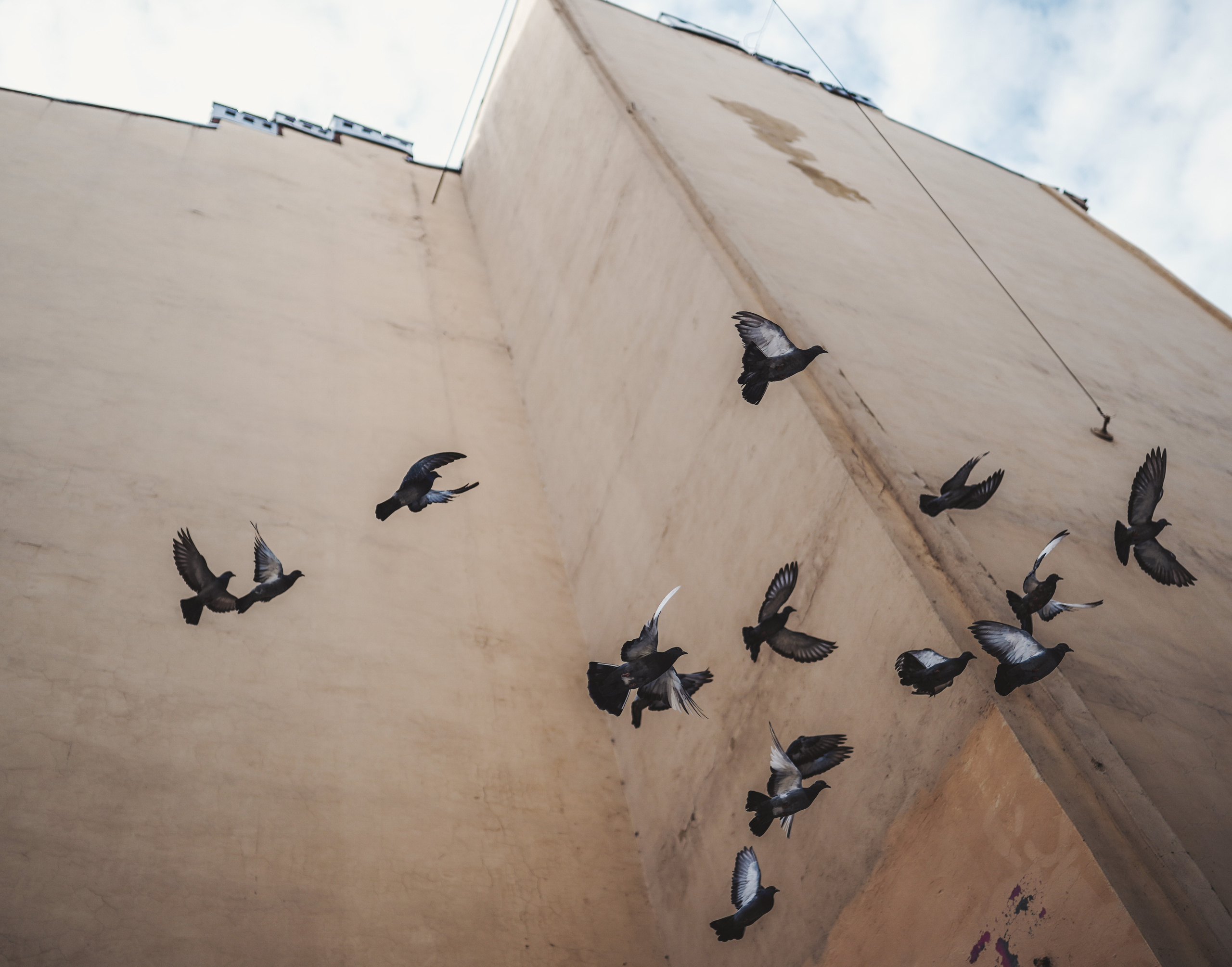 2019. Стрит-фотография, полная абсурда, идиотизма и красоты