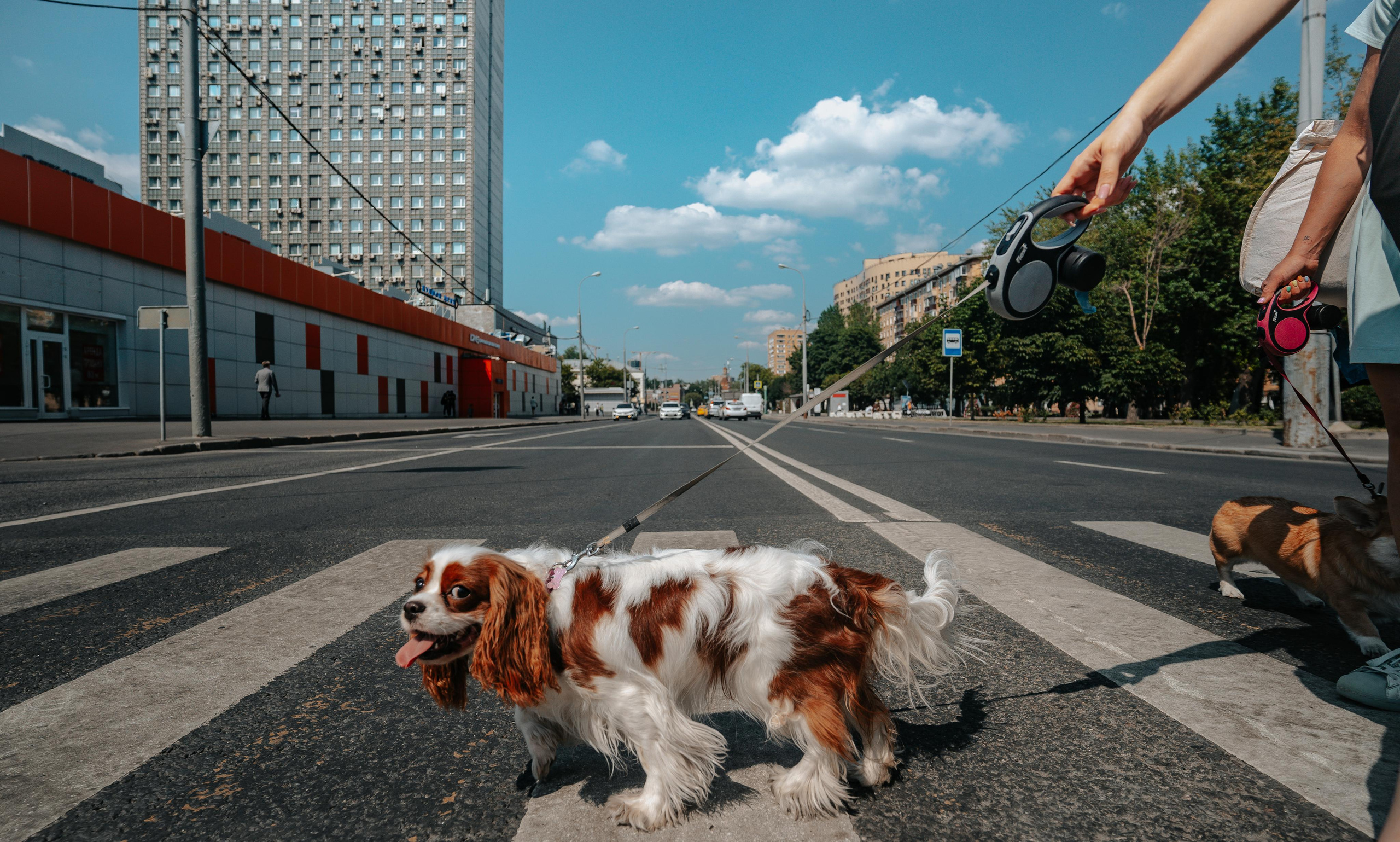 BEST OF. Стрит-фотография, полная абсурда, идиотизма и красоты