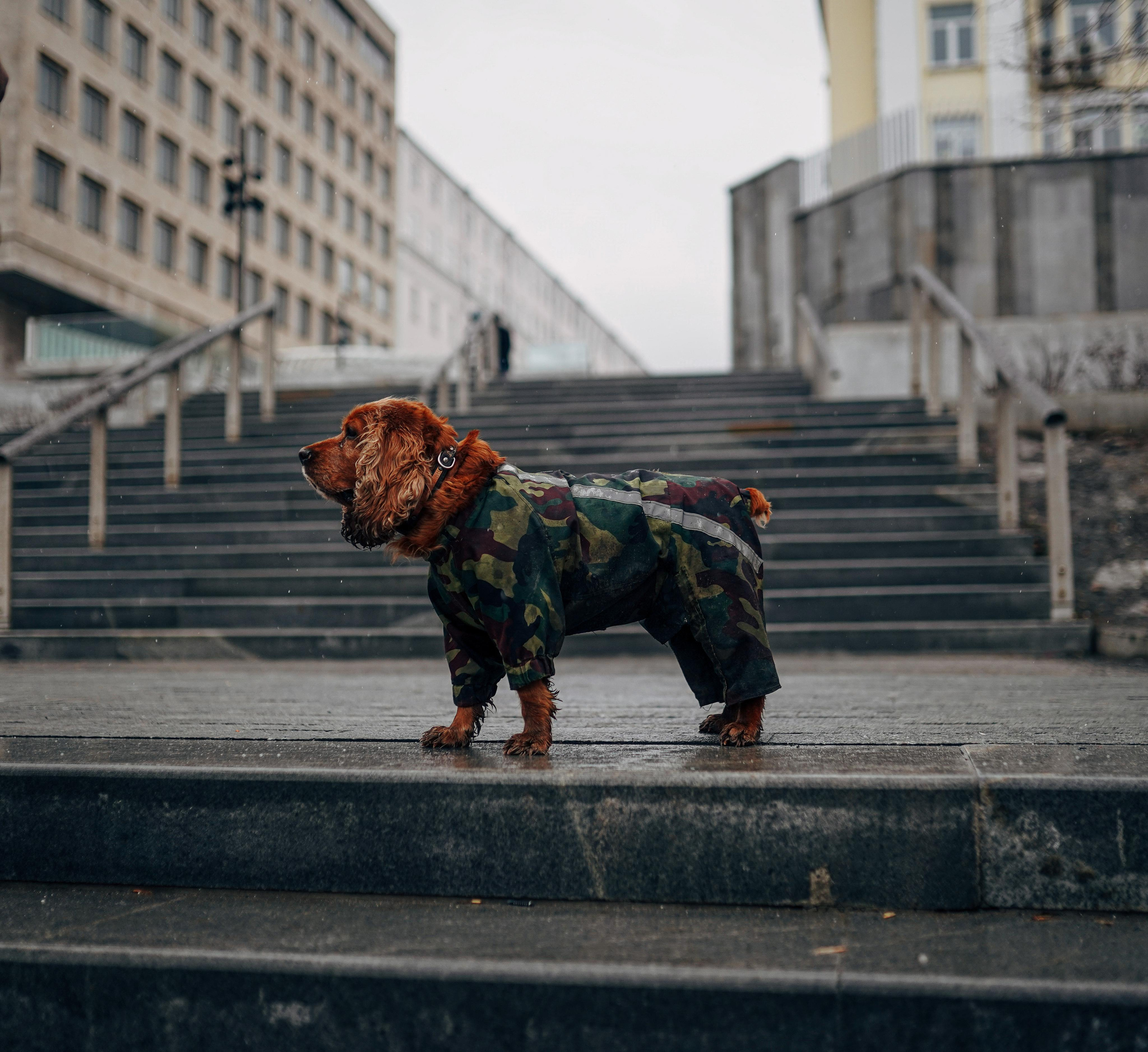 2021. Стрит-фотография, полная абсурда, идиотизма и красоты