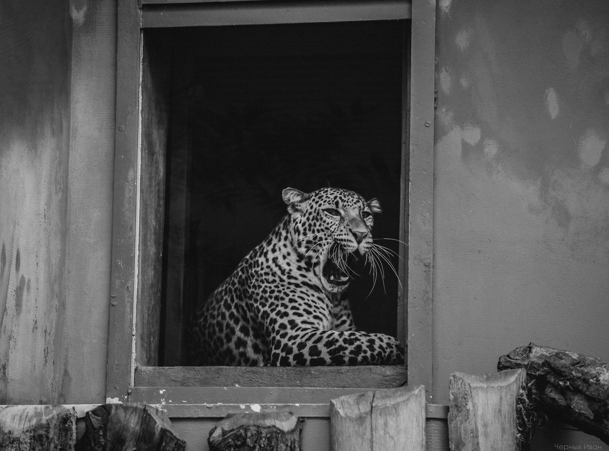 ЧЕХИЯ. Стрит-фотография, полная абсурда, идиотизма и красоты