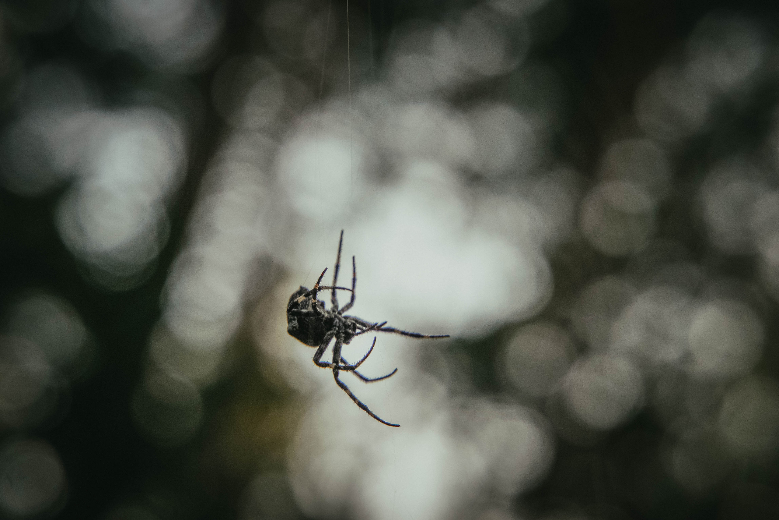 2022. Стрит-фотография, полная абсурда, идиотизма и красоты