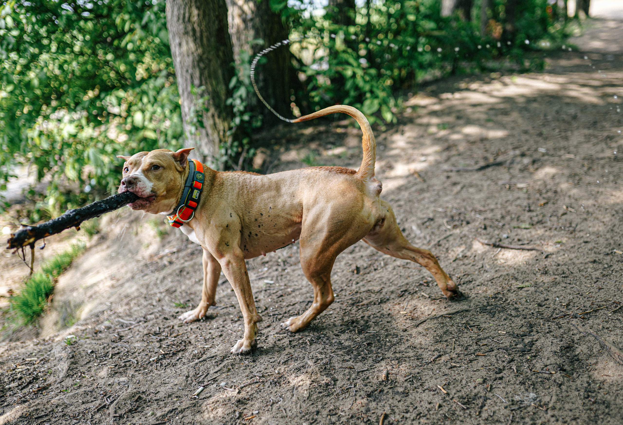 2020. Стрит-фотография, полная абсурда, идиотизма и красоты