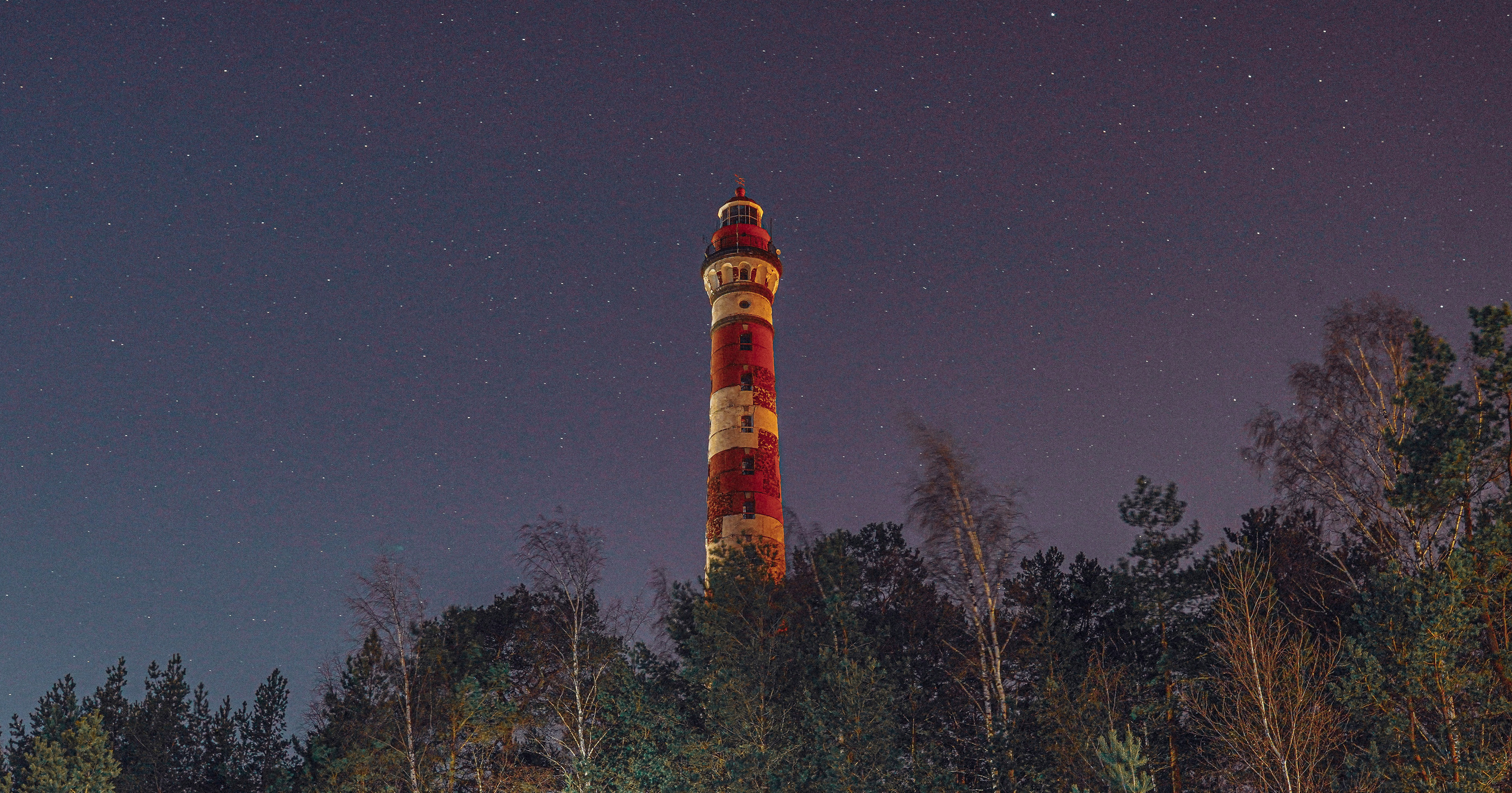 2021. Стрит-фотография, полная абсурда, идиотизма и красоты