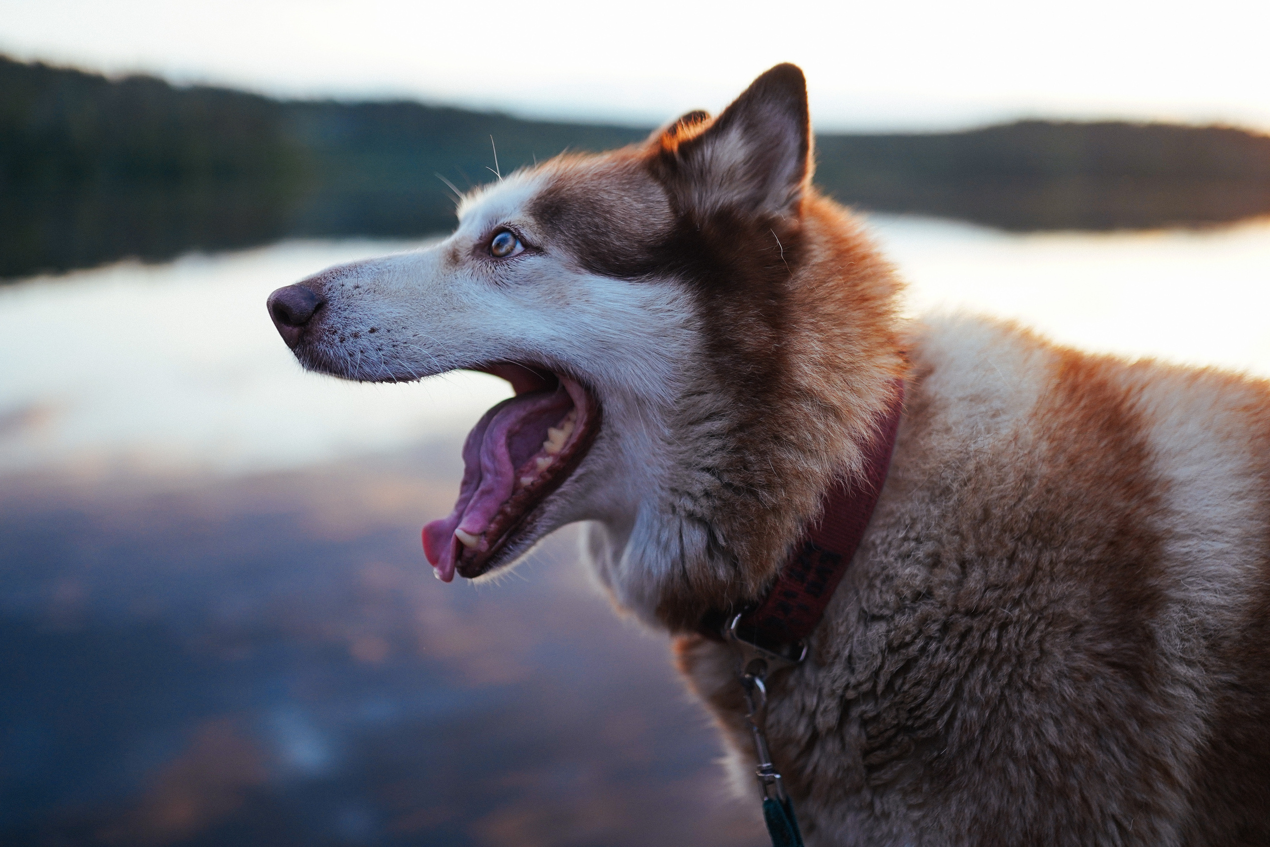 2019. Стрит-фотография, полная абсурда, идиотизма и красоты
