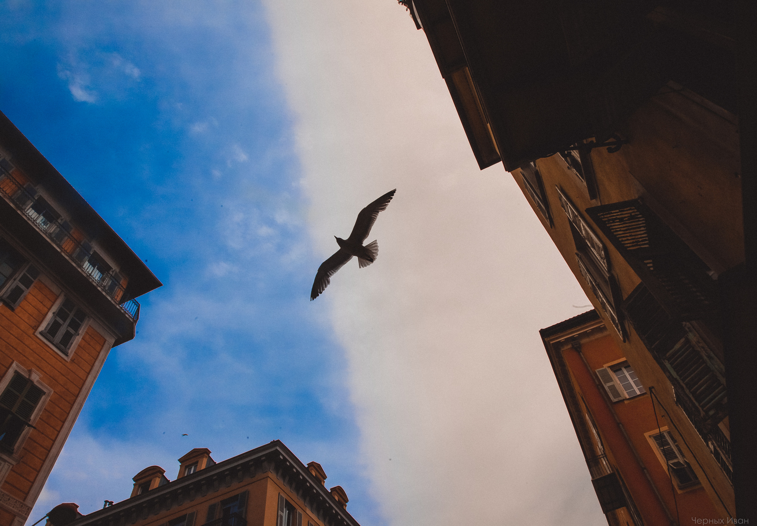 BEST OF. Стрит-фотография, полная абсурда, идиотизма и красоты