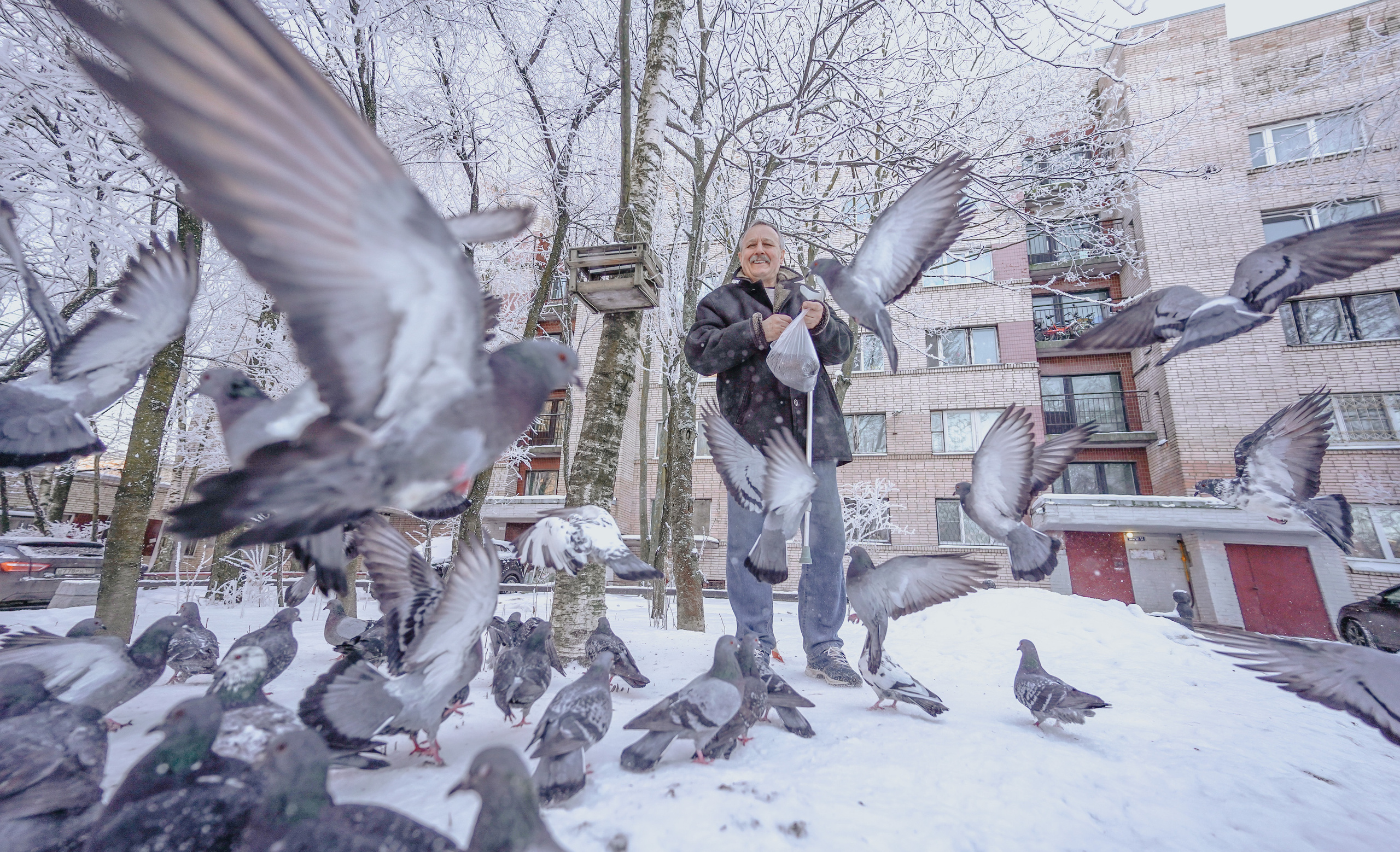 2021. Стрит-фотография, полная абсурда, идиотизма и красоты