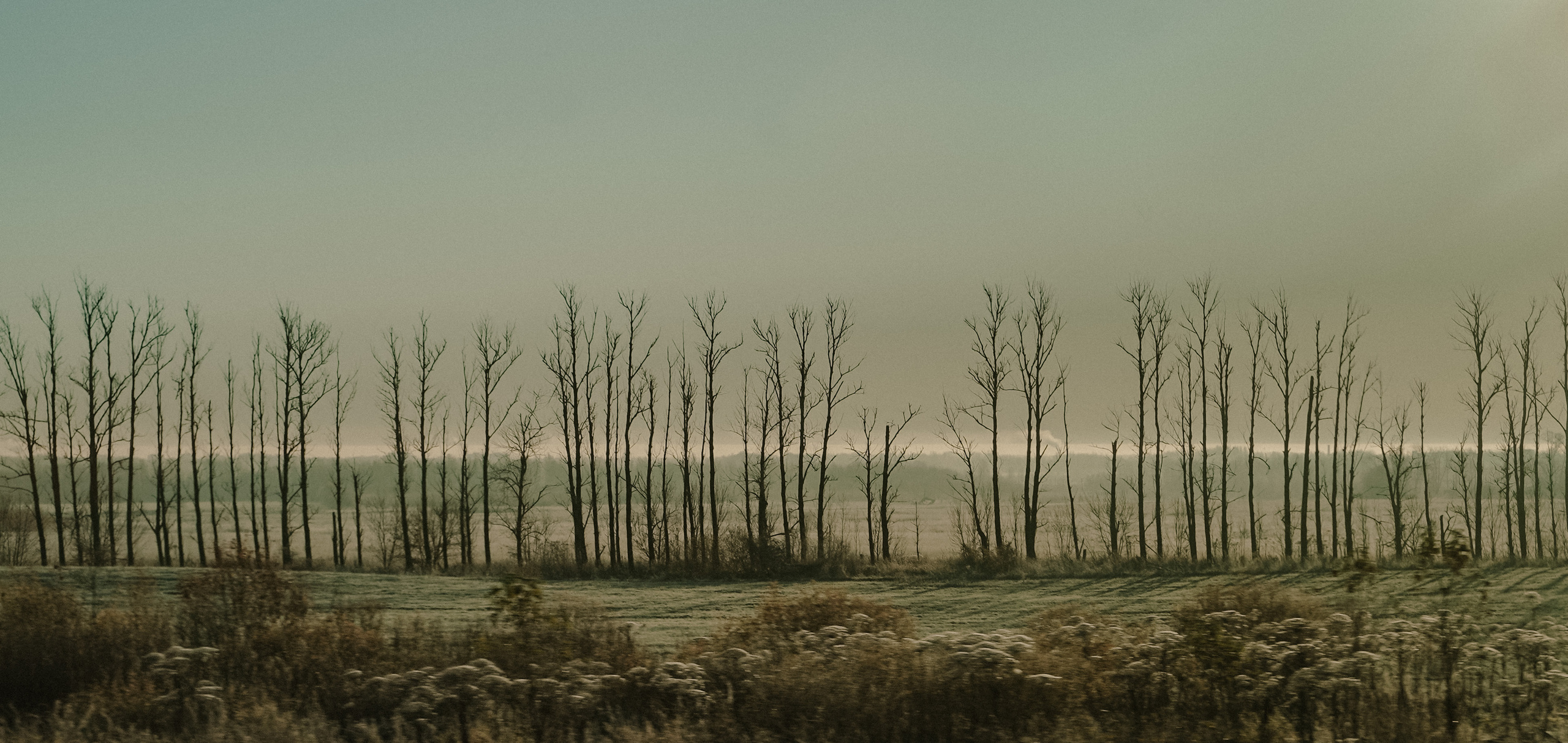 2020. Стрит-фотография, полная абсурда, идиотизма и красоты