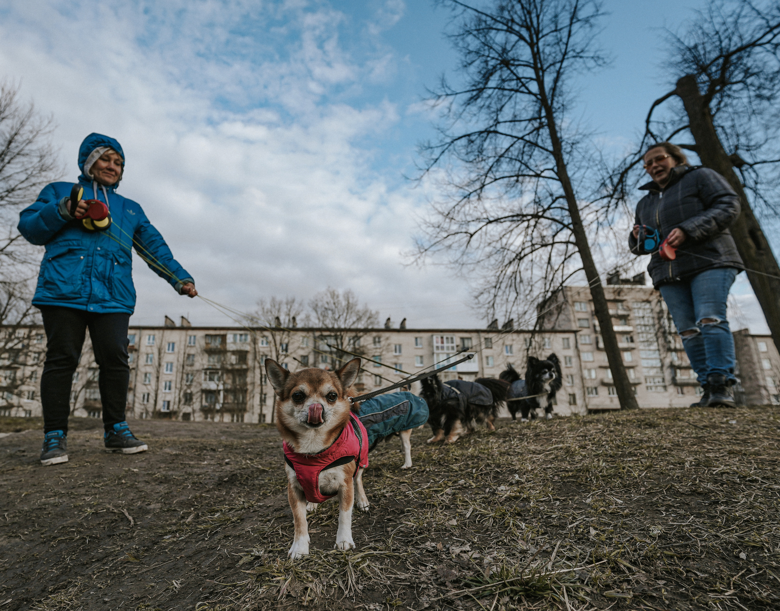 2020. Стрит-фотография, полная абсурда, идиотизма и красоты