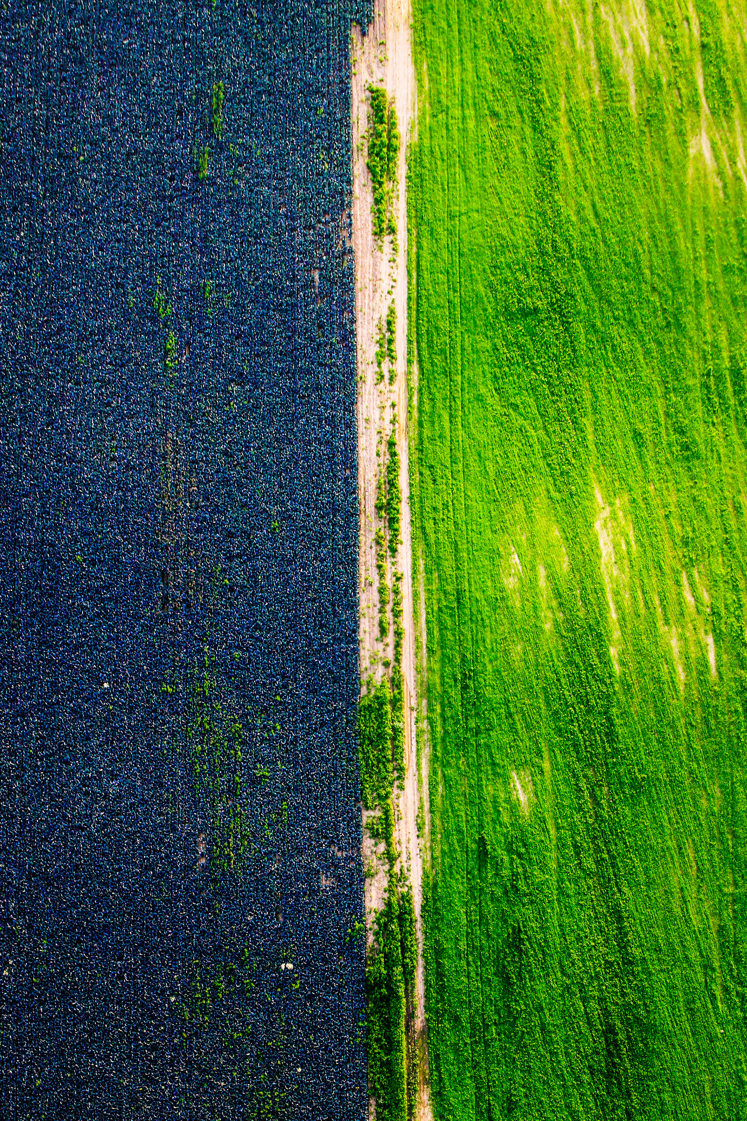 2017. Стрит-фотография, полная абсурда, идиотизма и красоты