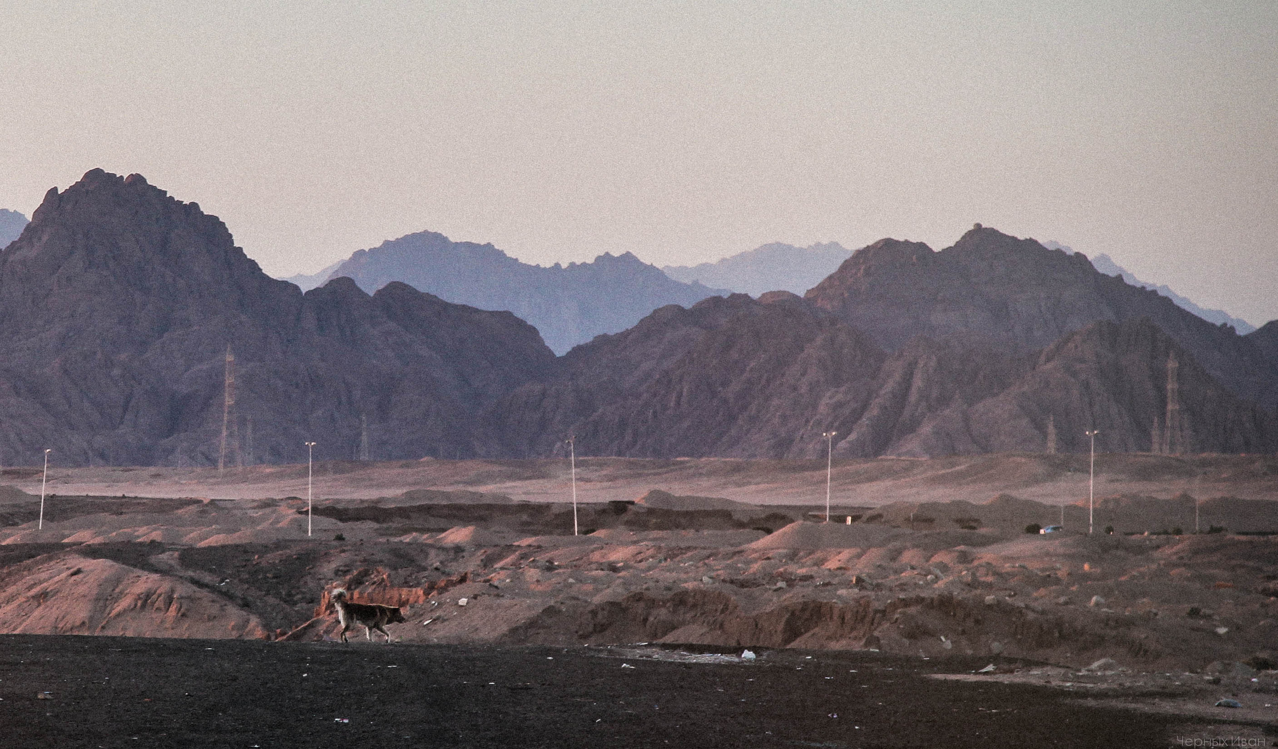 ЕГИПЕТ. Стрит-фотография, полная абсурда, идиотизма и красоты