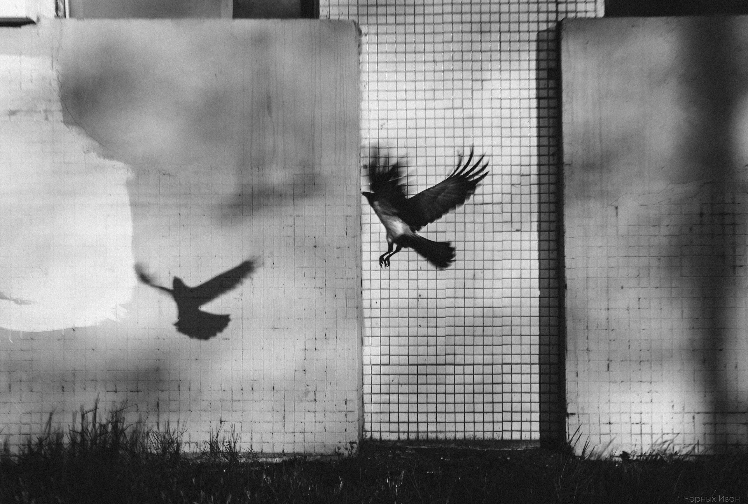 МИНСК. Стрит-фотография, полная абсурда, идиотизма и красоты