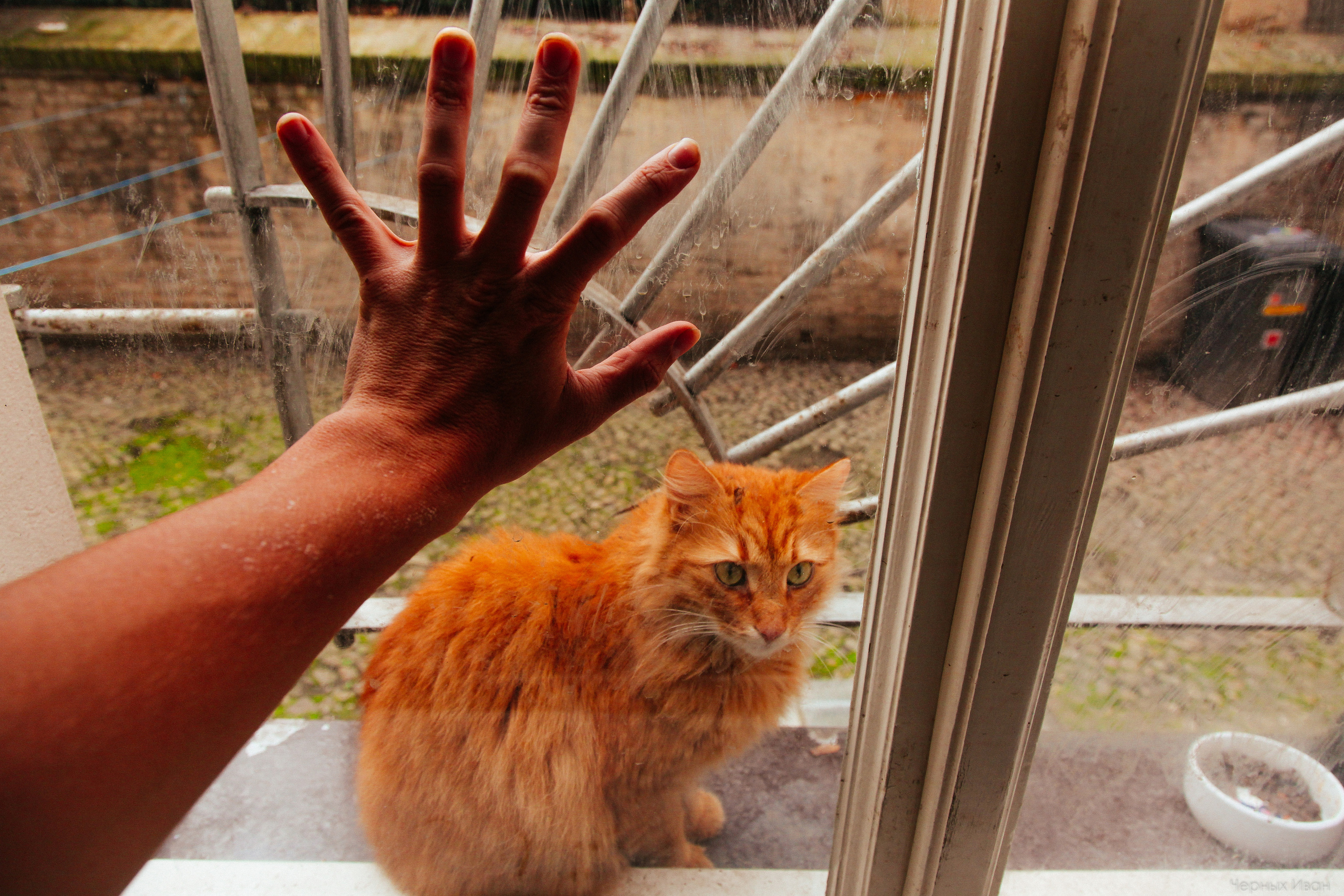 ЧЕХИЯ. Стрит-фотография, полная абсурда, идиотизма и красоты