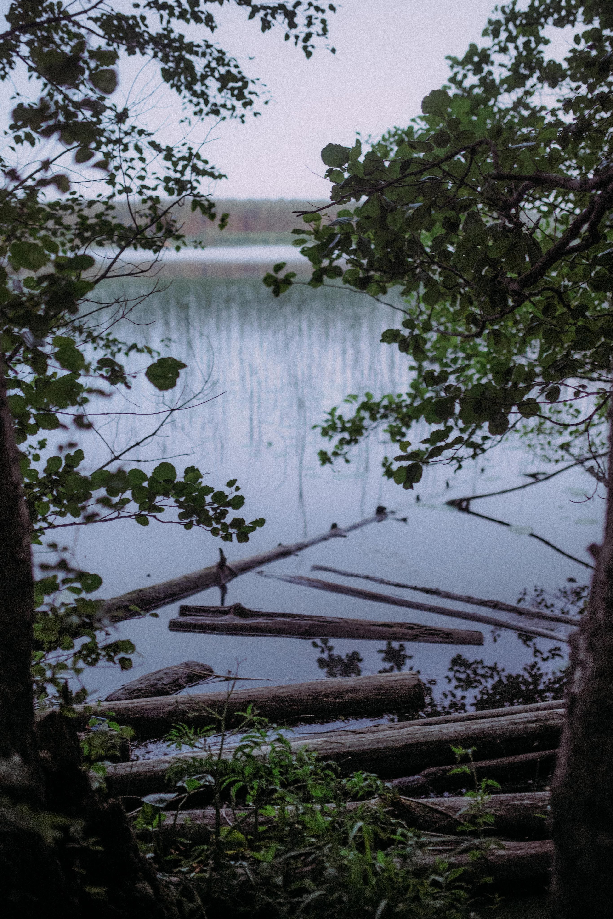2021. Стрит-фотография, полная абсурда, идиотизма и красоты