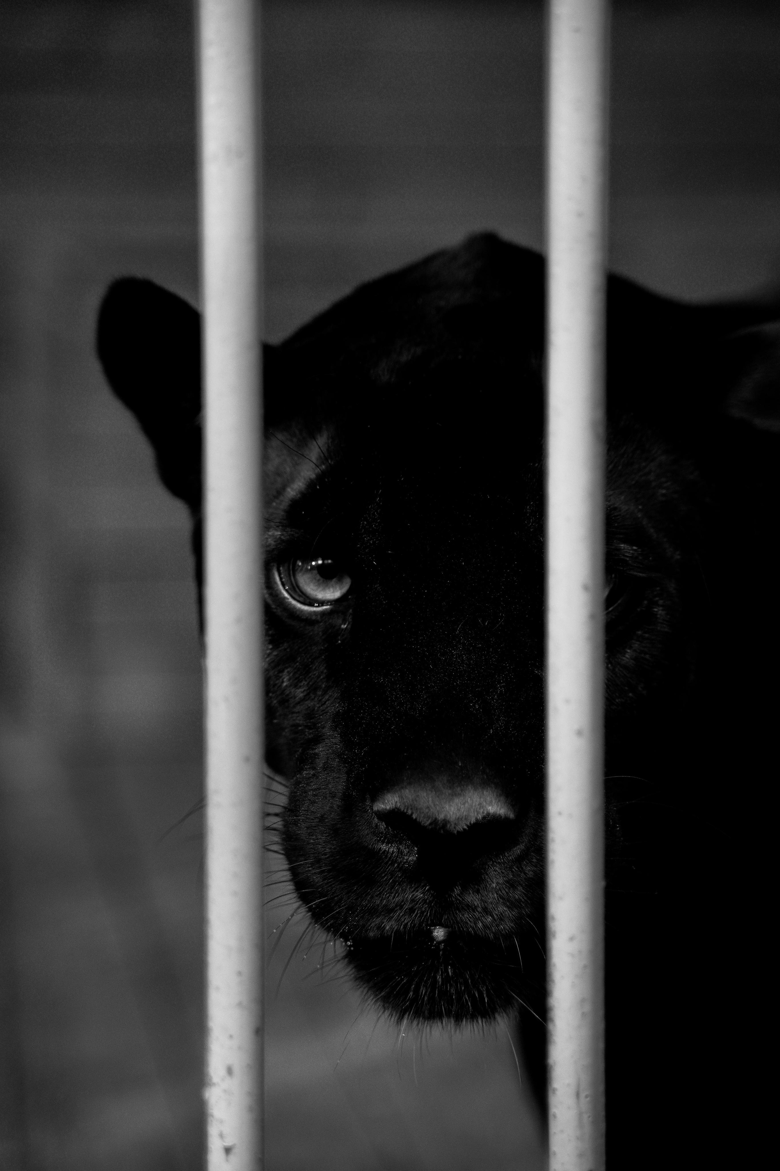 2022. Стрит-фотография, полная абсурда, идиотизма и красоты