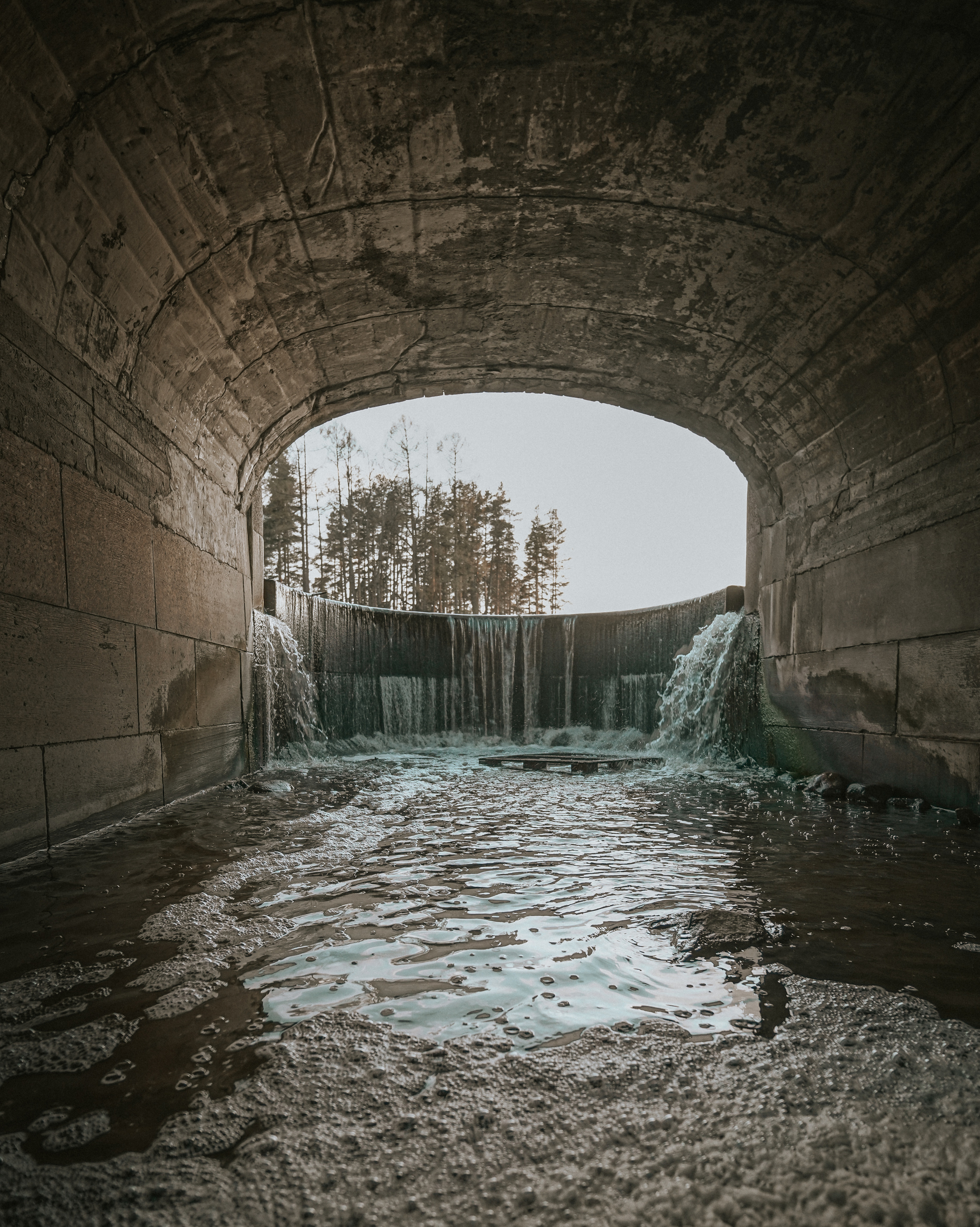 2020. Стрит-фотография, полная абсурда, идиотизма и красоты