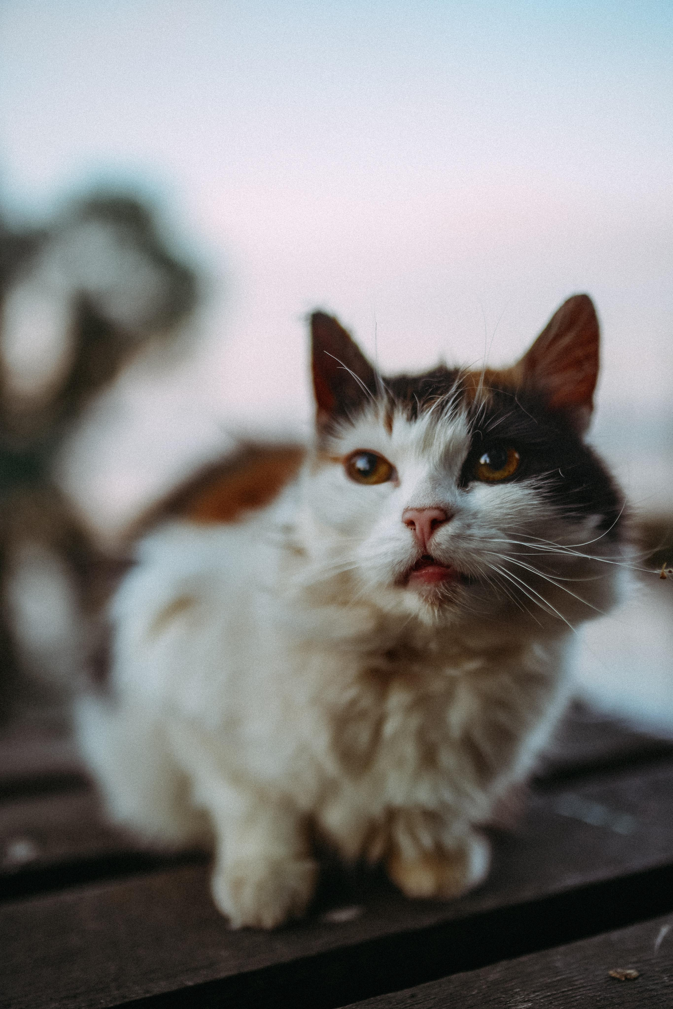 2022. Стрит-фотография, полная абсурда, идиотизма и красоты