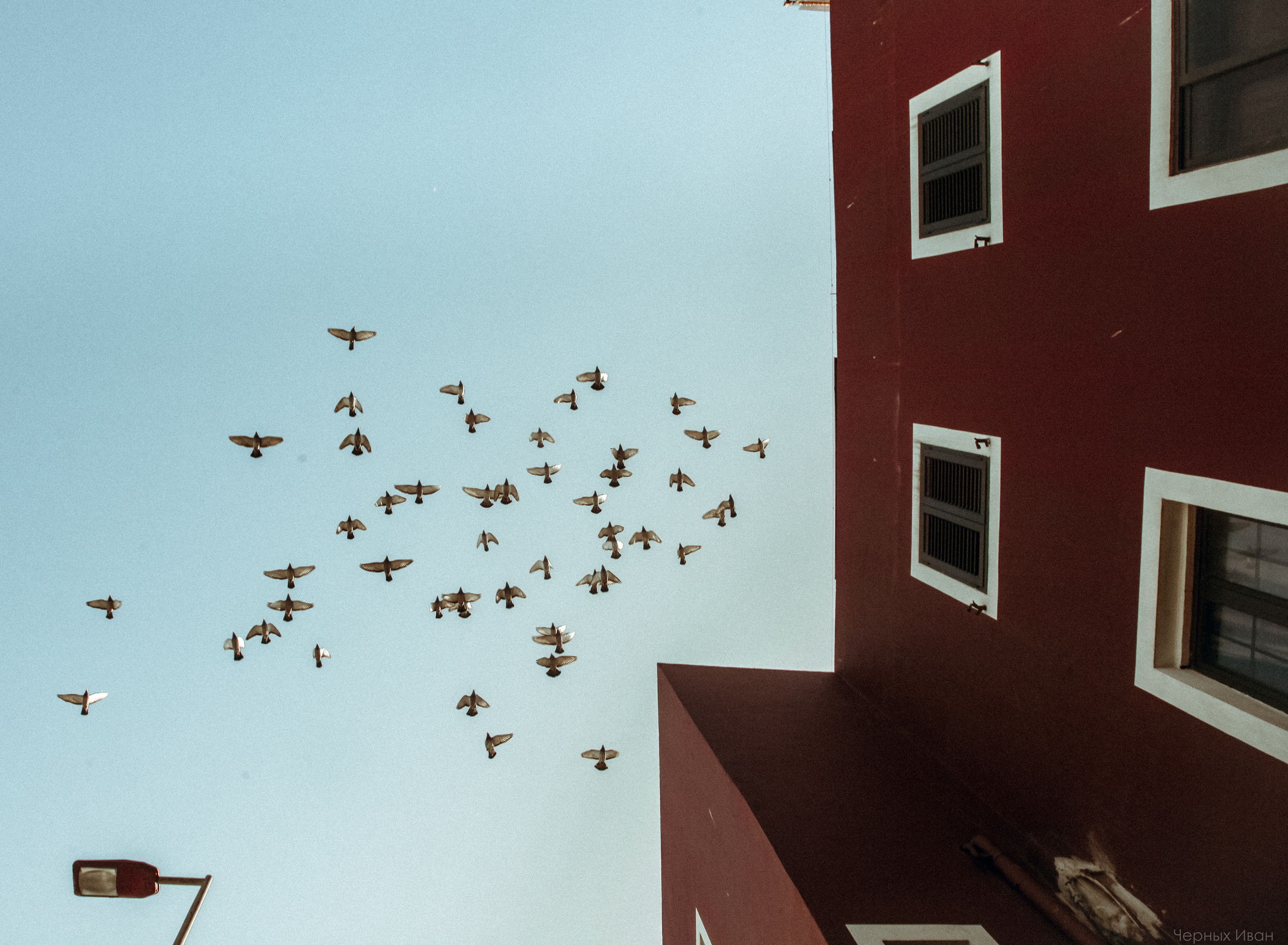 ИСПАНИЯ. Стрит-фотография, полная абсурда, идиотизма и красоты