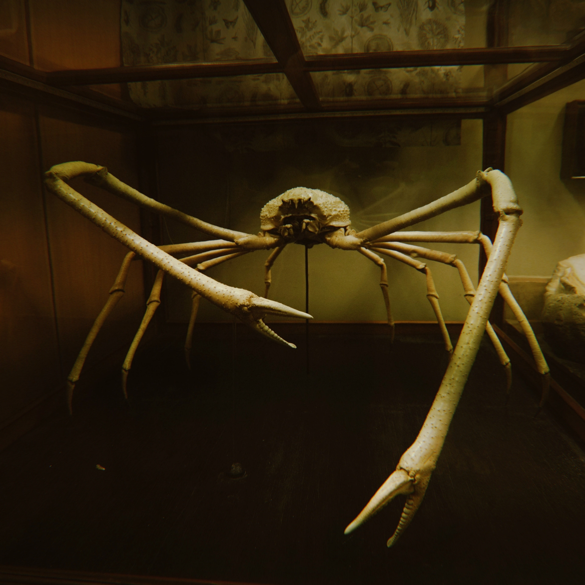 Наука. Стрит-фотография, полная абсурда, идиотизма и красоты