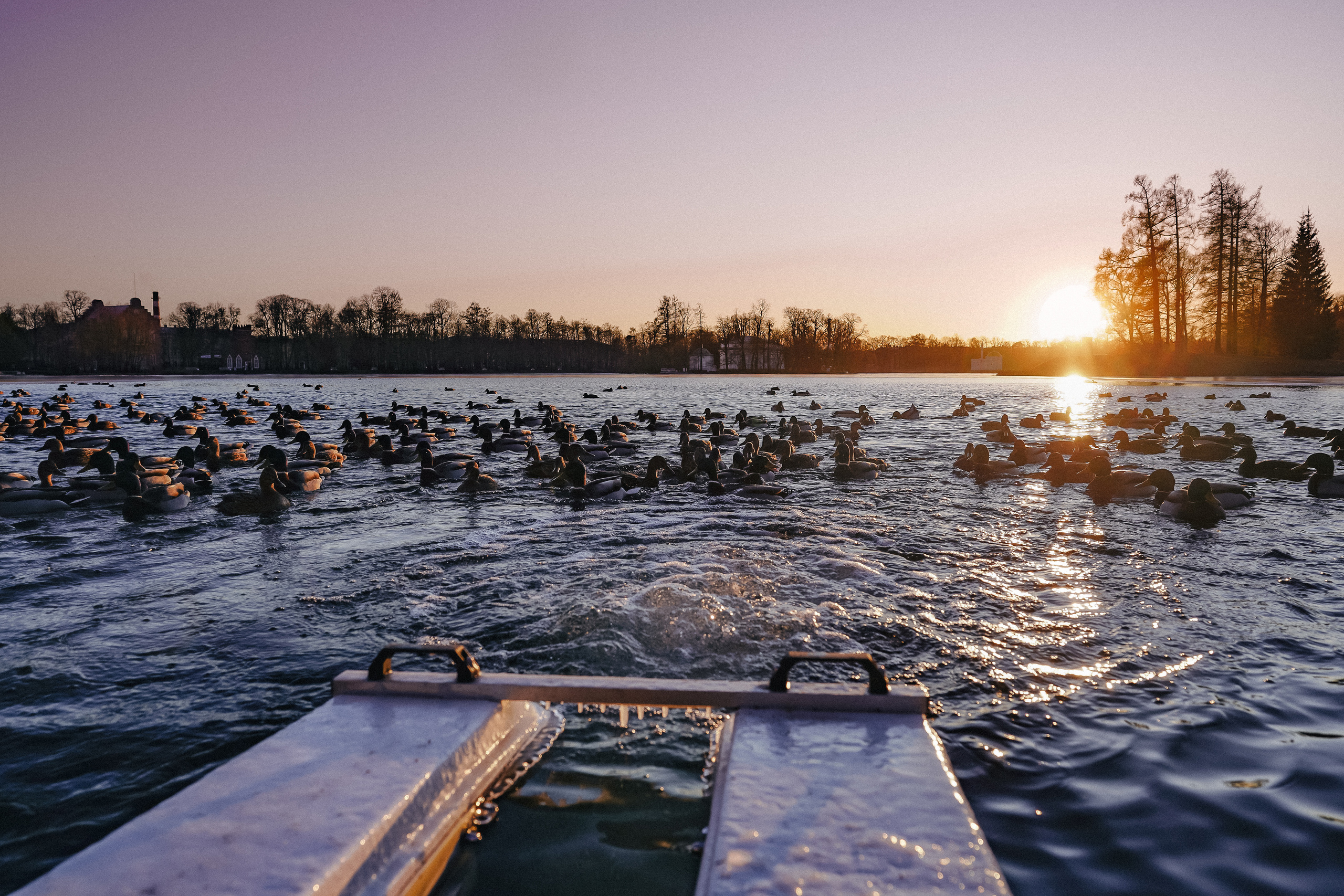 2020. Стрит-фотография, полная абсурда, идиотизма и красоты