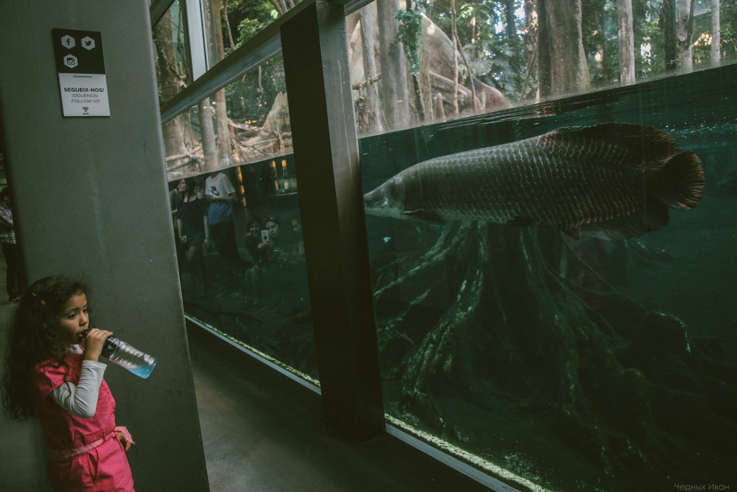 ИСПАНИЯ. Стрит-фотография, полная абсурда, идиотизма и красоты