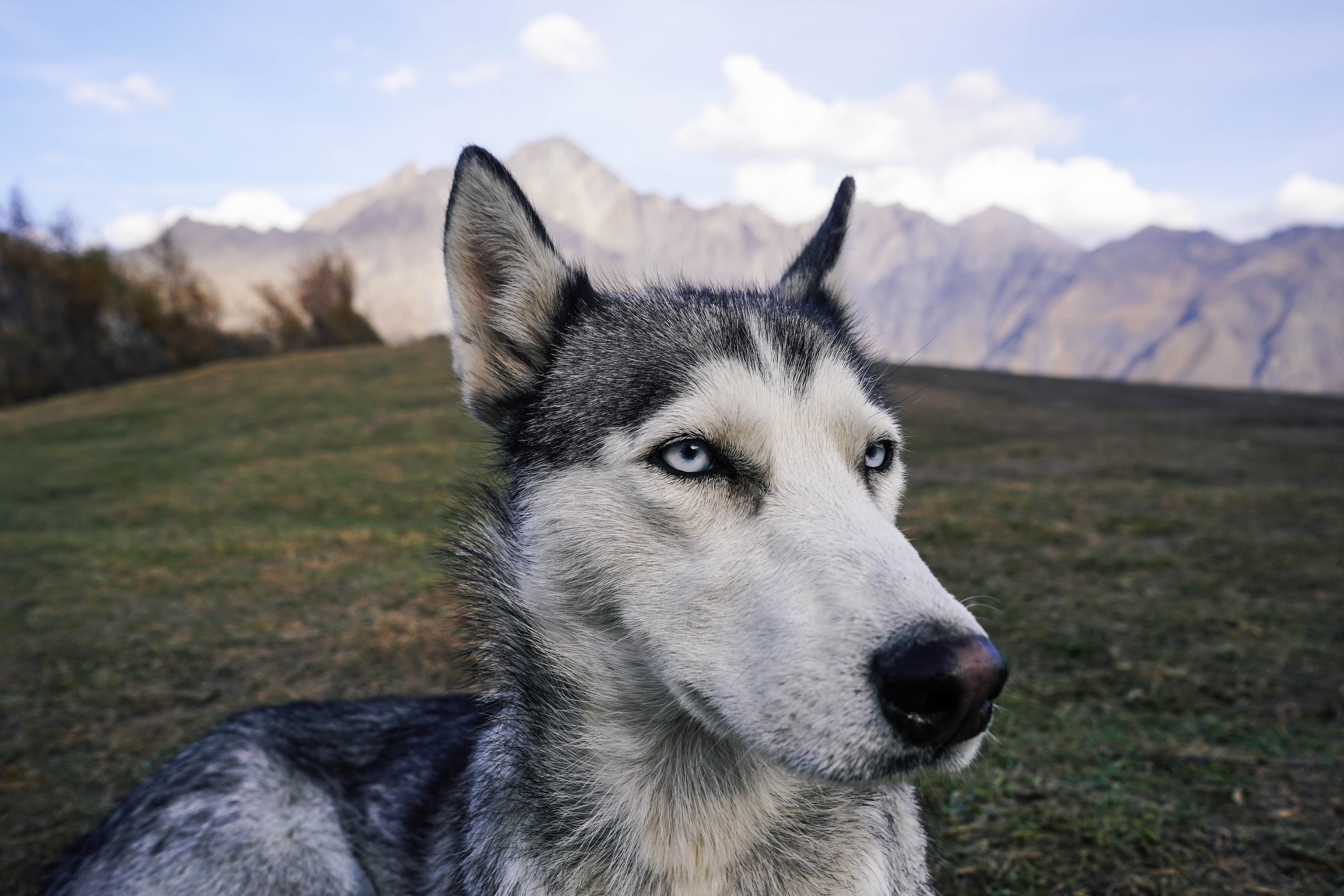 ГРУЗИЯ. Стрит-фотография, полная абсурда, идиотизма и красоты