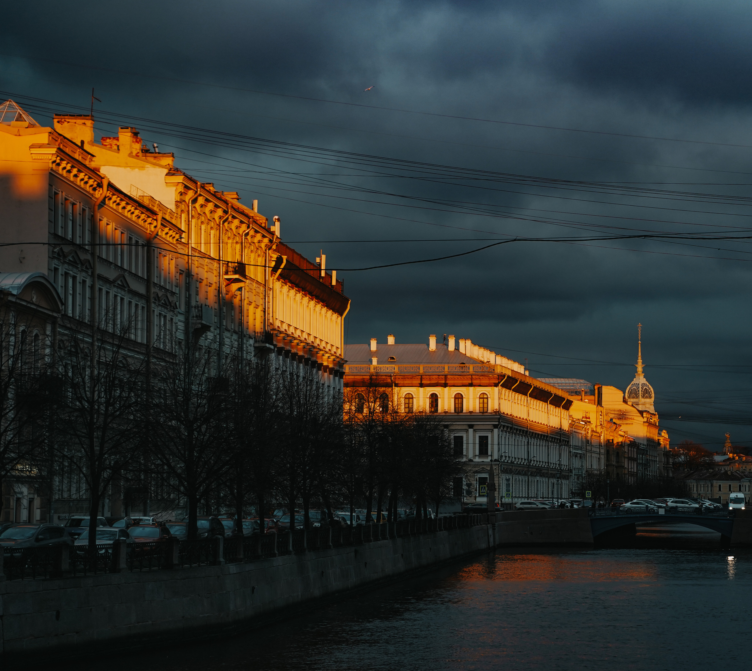 2020. Стрит-фотография, полная абсурда, идиотизма и красоты