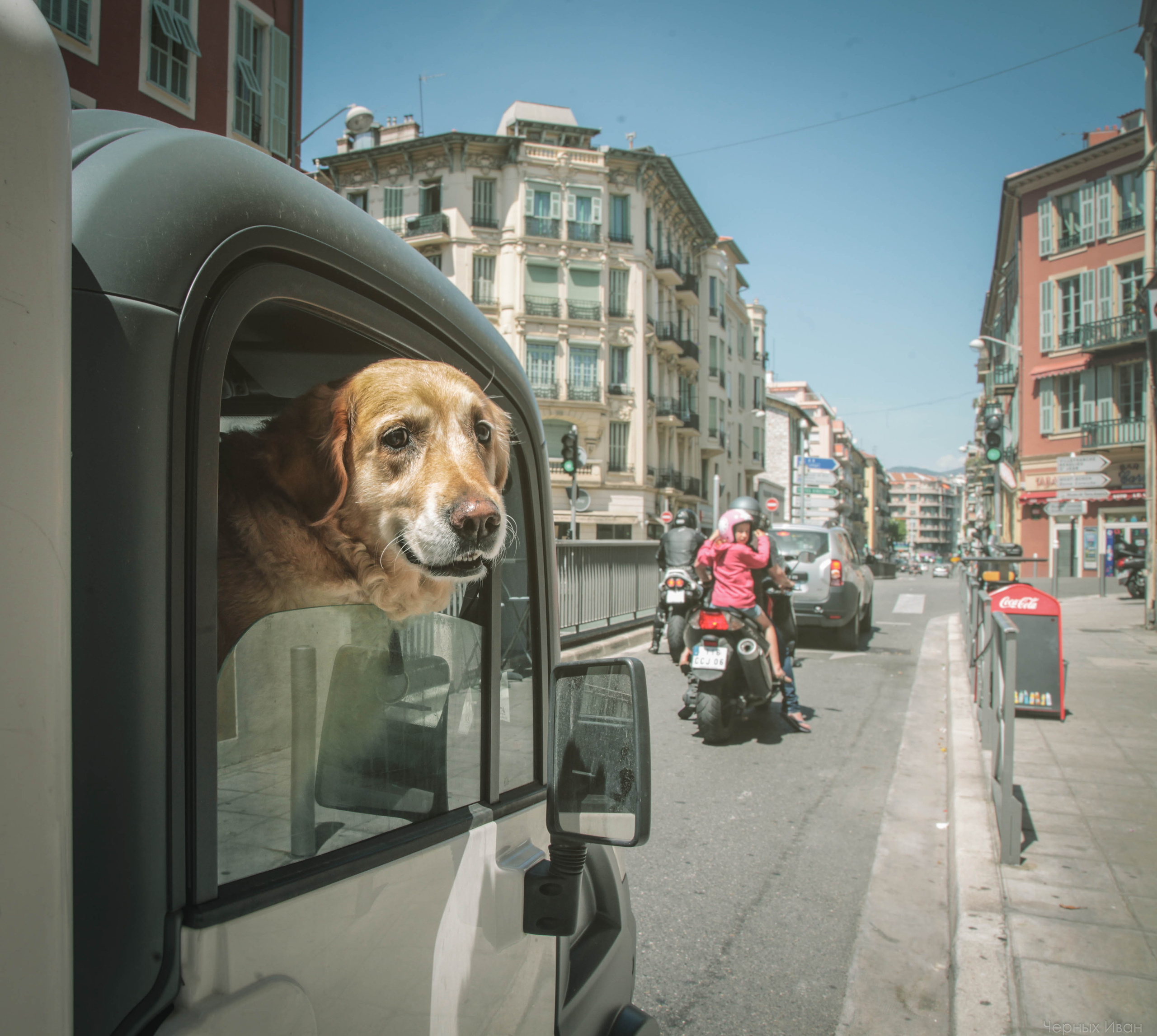 BEST OF. Стрит-фотография, полная абсурда, идиотизма и красоты