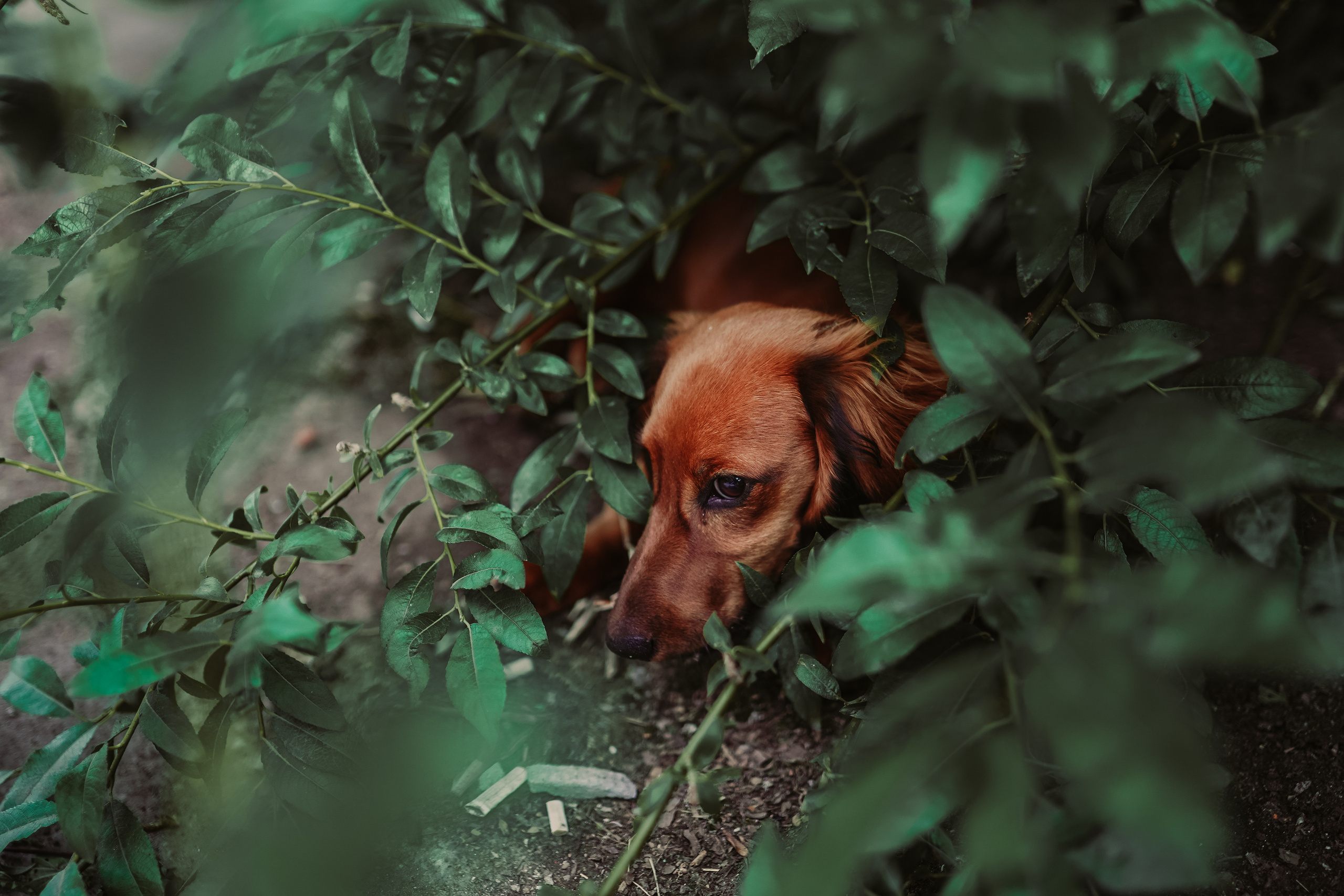 2020. Стрит-фотография, полная абсурда, идиотизма и красоты