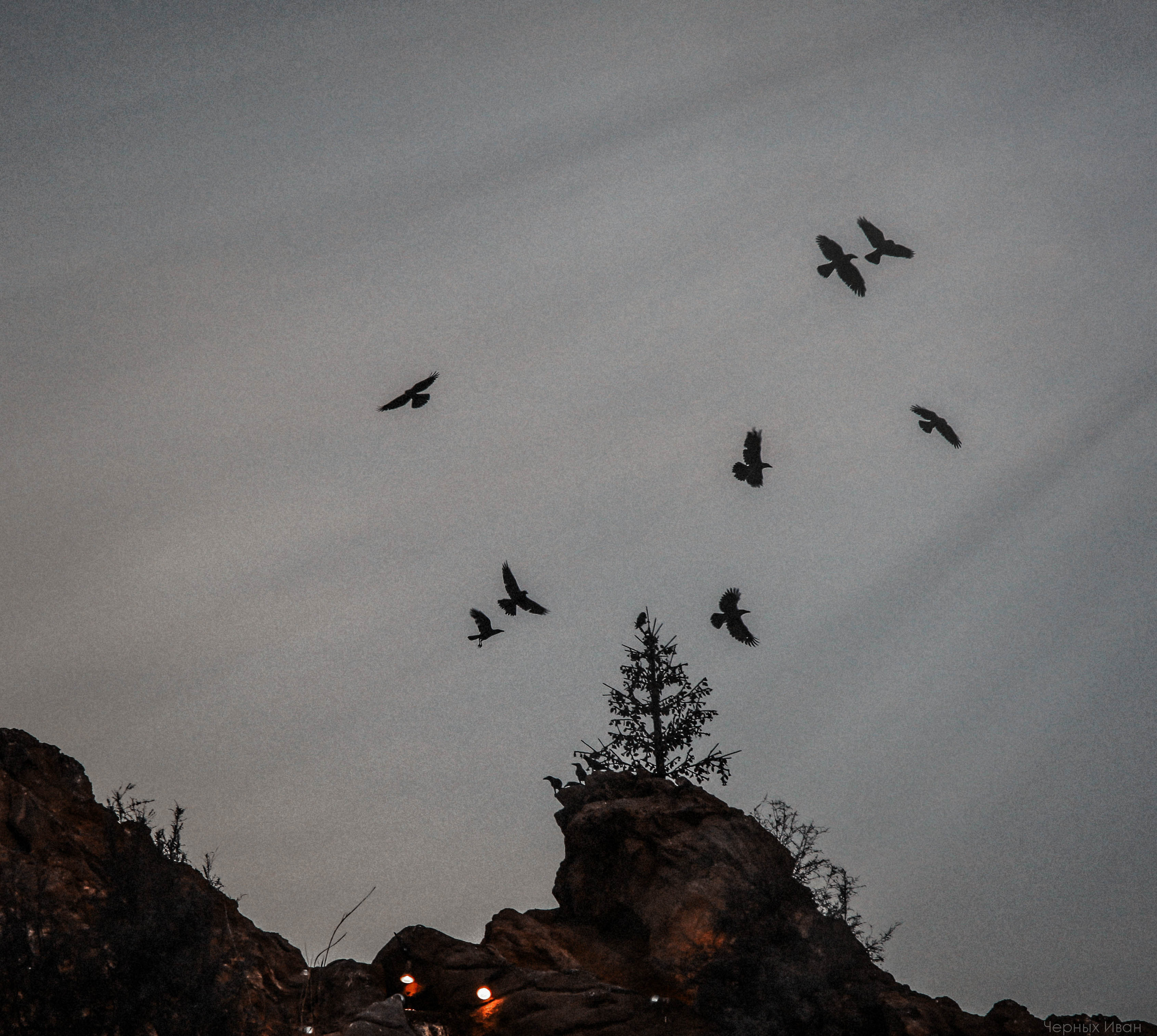 ЕГИПЕТ. Стрит-фотография, полная абсурда, идиотизма и красоты