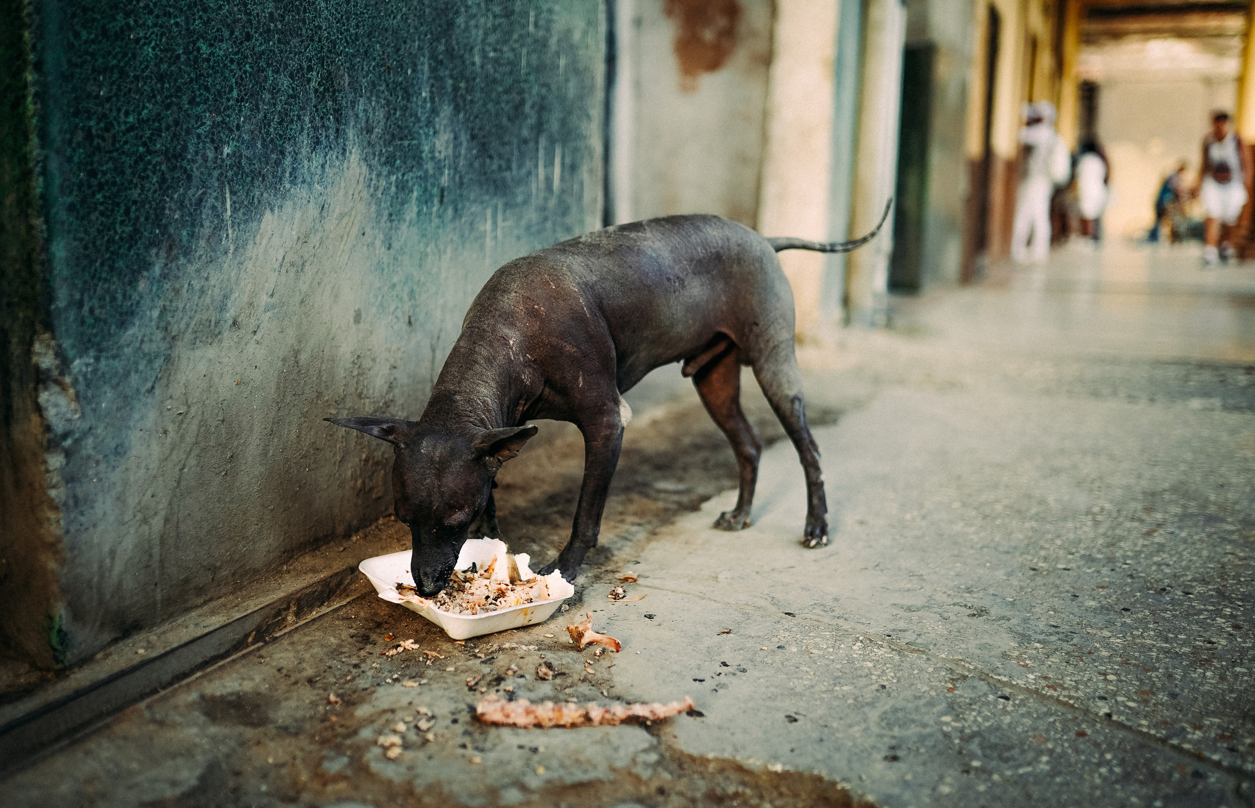 КУБА. Стрит-фотография, полная абсурда, идиотизма и красоты