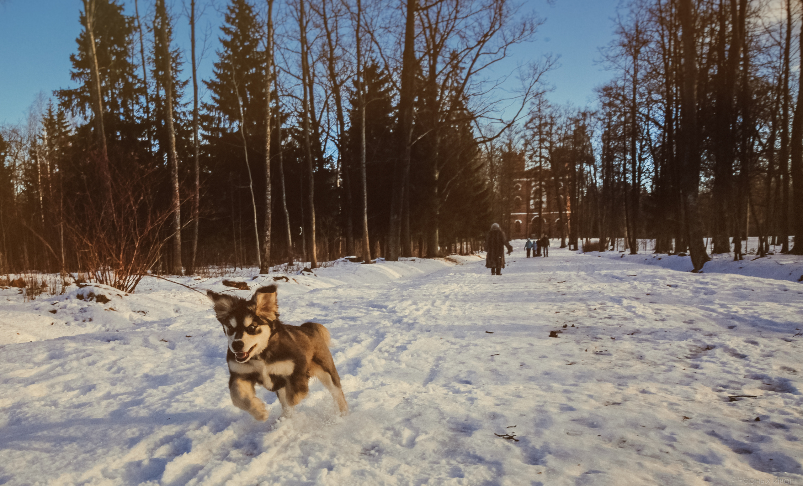 2017. Стрит-фотография, полная абсурда, идиотизма и красоты