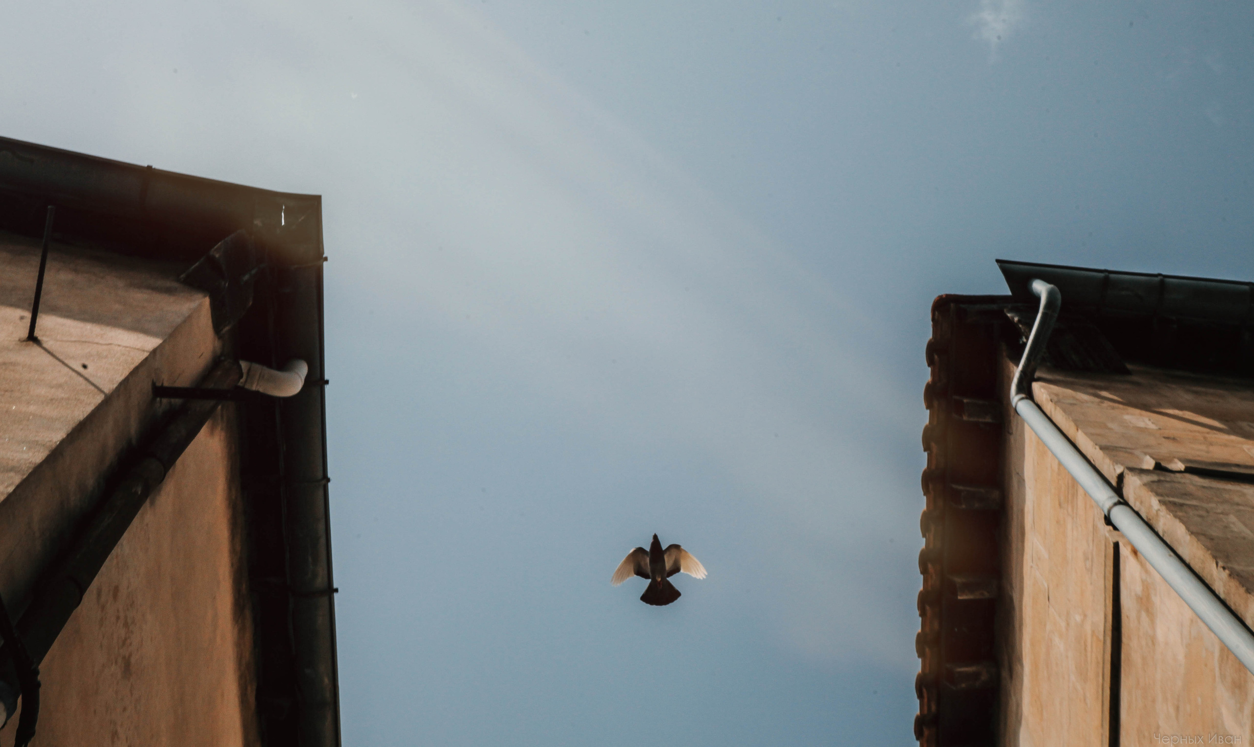 ФРАНЦИЯ. Стрит-фотография, полная абсурда, идиотизма и красоты