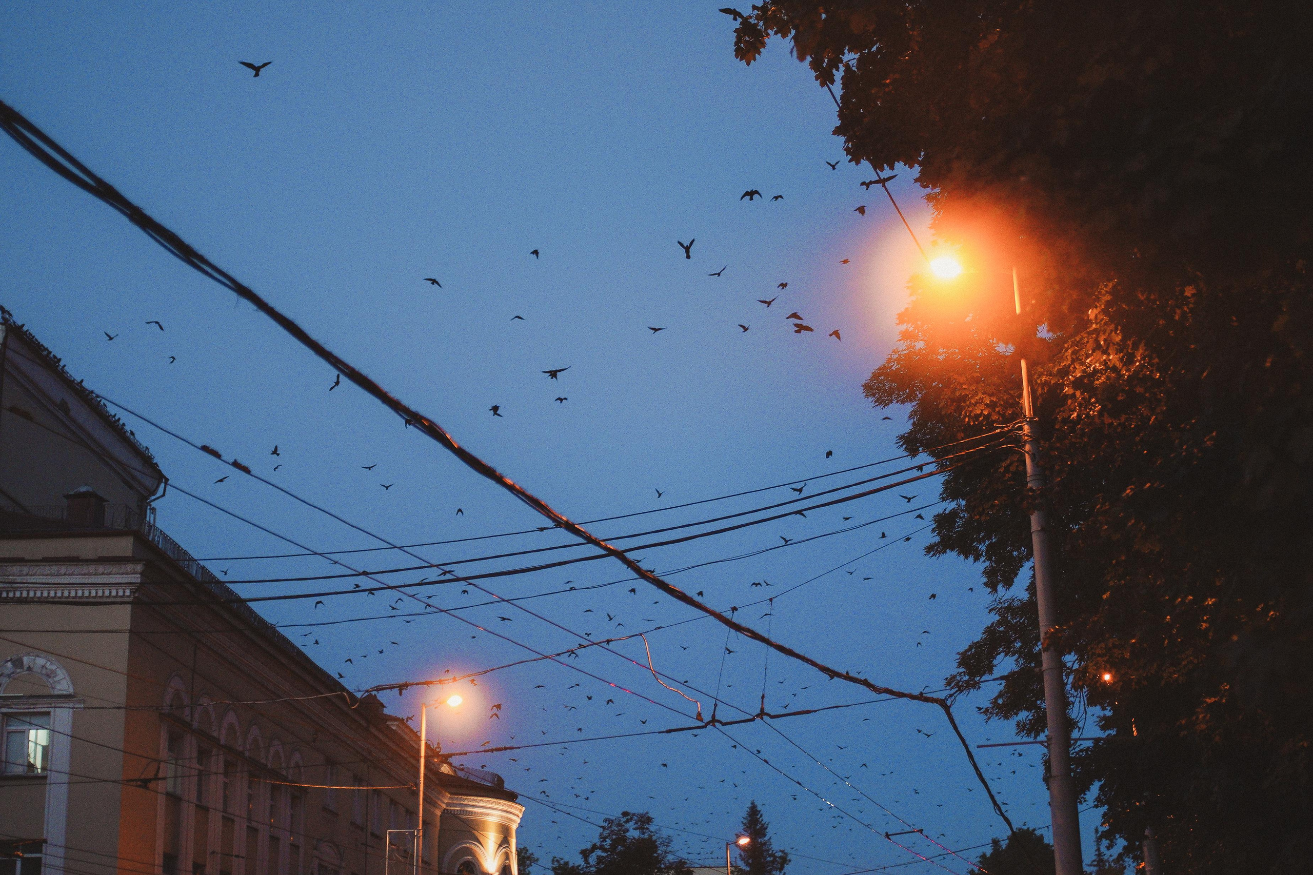 2020. Стрит-фотография, полная абсурда, идиотизма и красоты