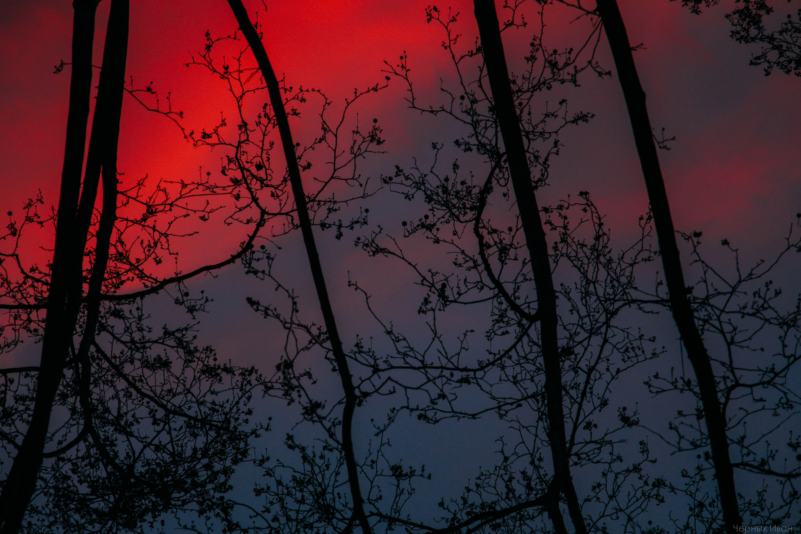 ФРАНЦИЯ. Стрит-фотография, полная абсурда, идиотизма и красоты