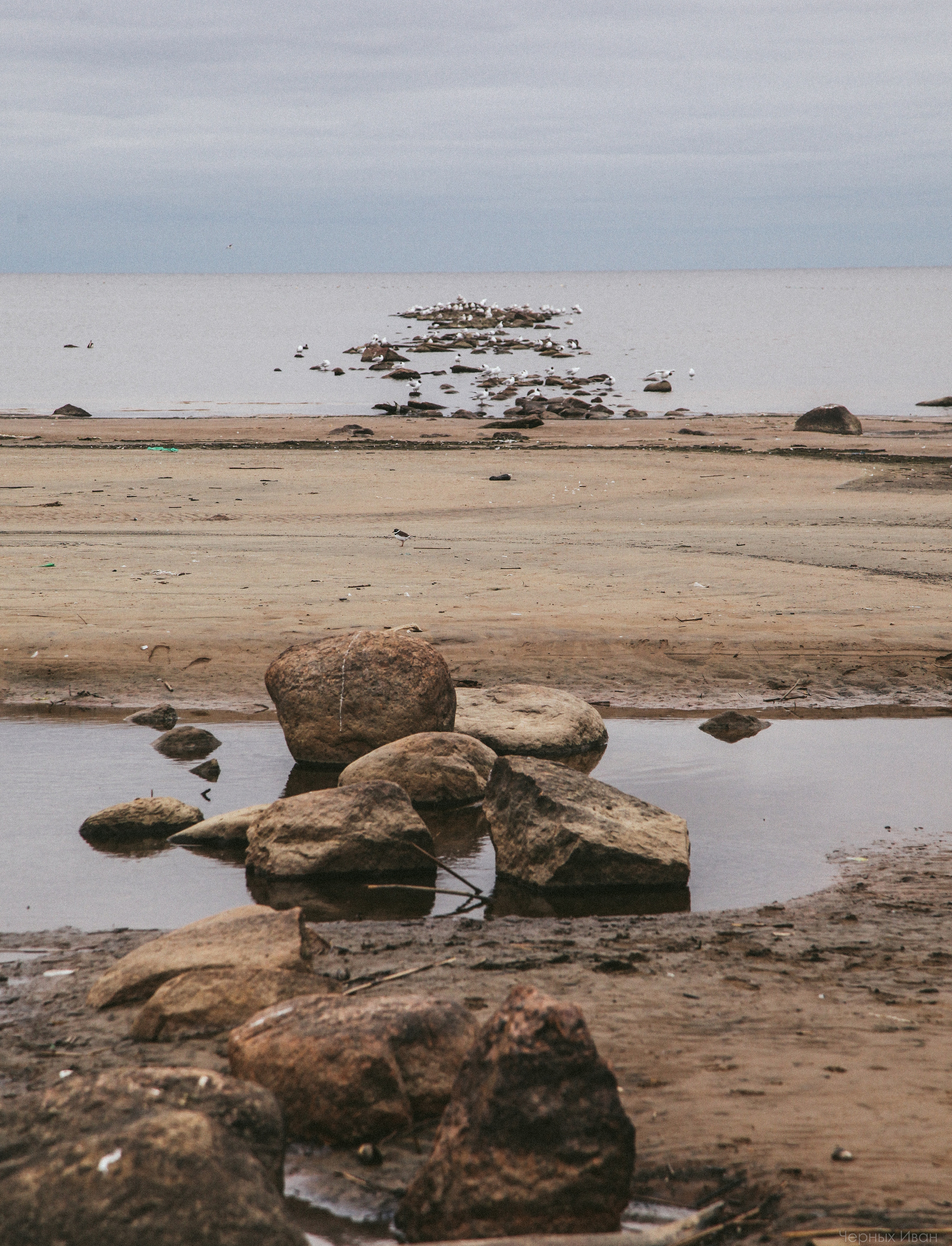 2016. Стрит-фотография, полная абсурда, идиотизма и красоты
