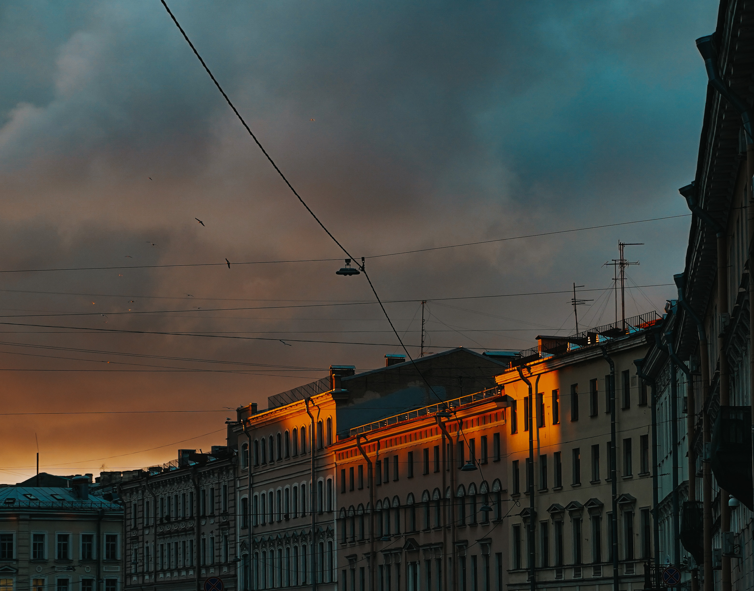 ПЕЙЗАЖИ. Стрит-фотография, полная абсурда, идиотизма и красоты