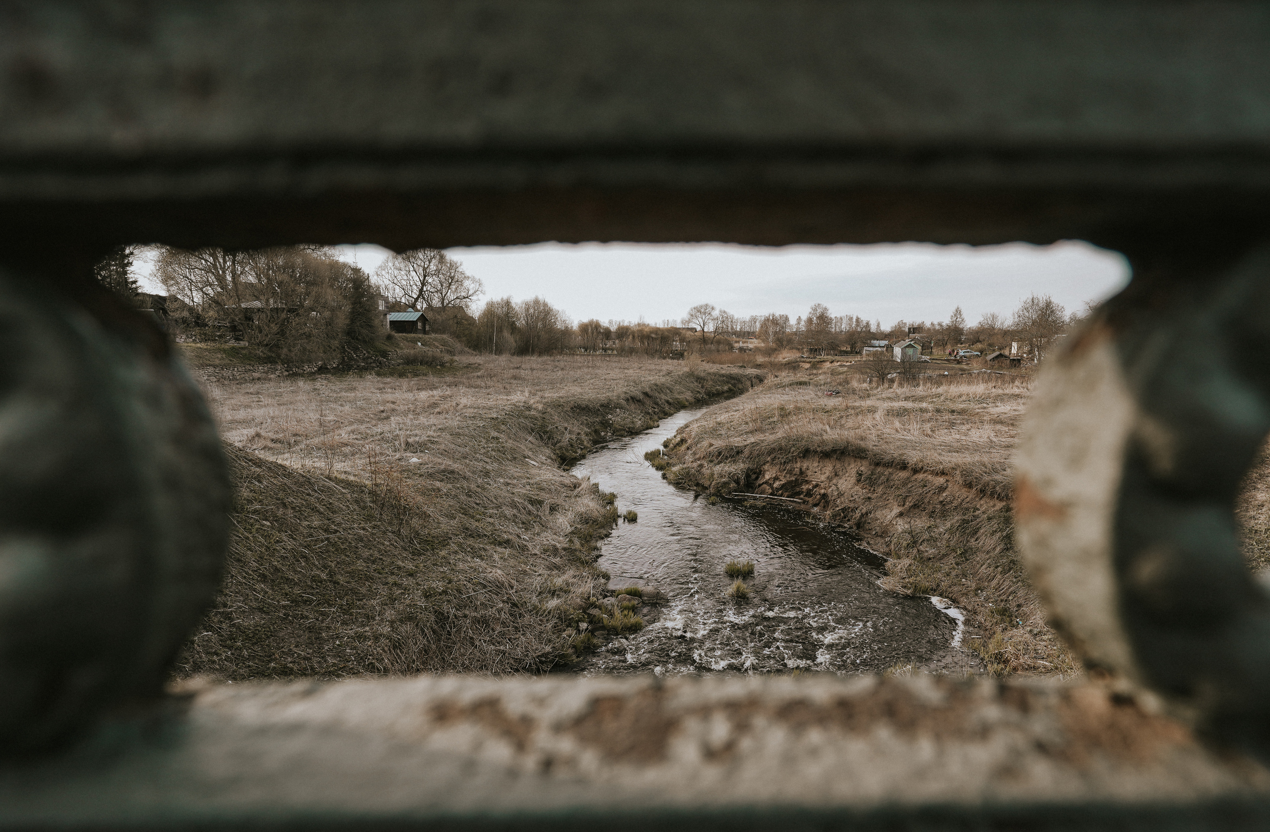 2020. Стрит-фотография, полная абсурда, идиотизма и красоты