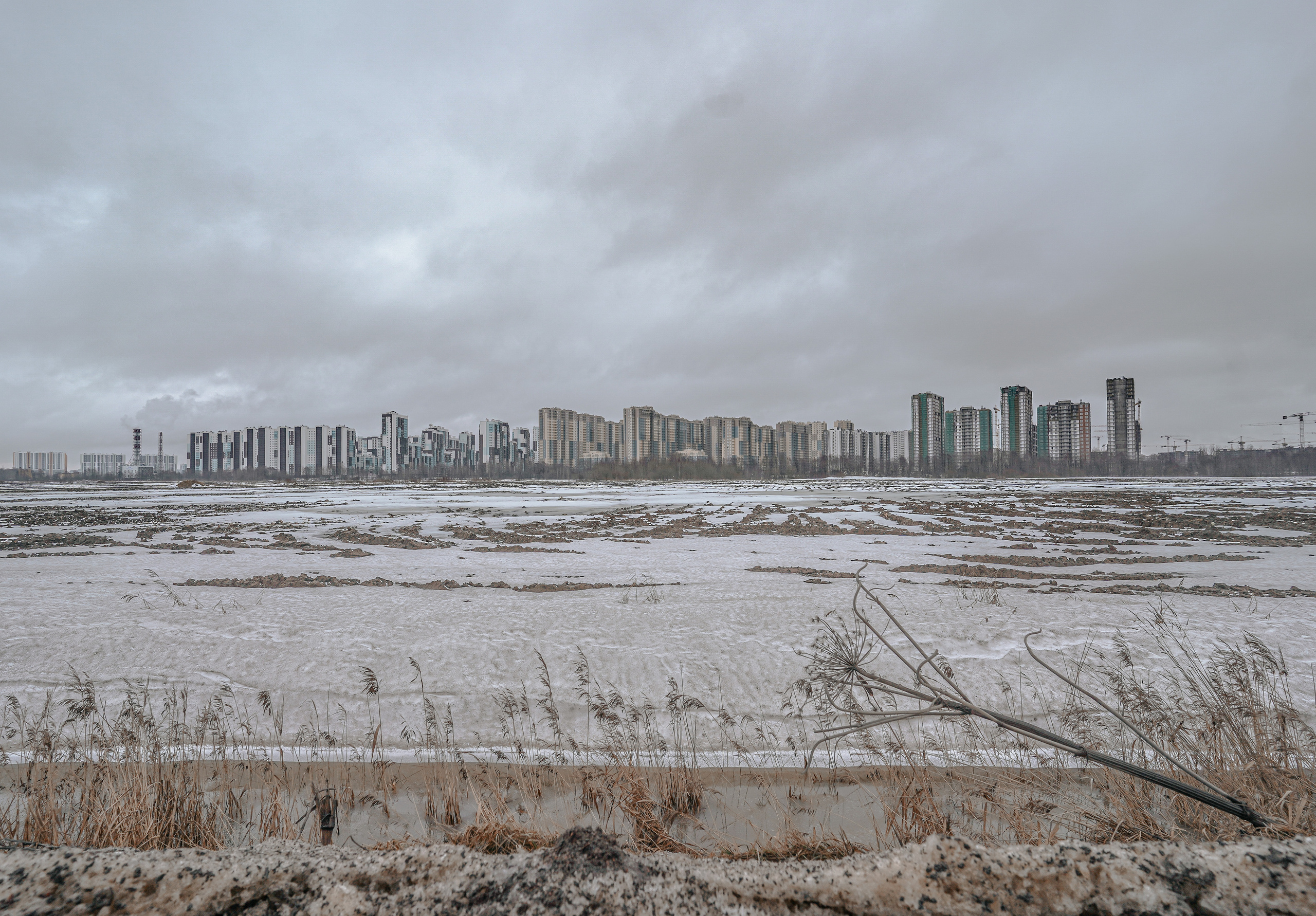 ПЕЙЗАЖИ. Стрит-фотография, полная абсурда, идиотизма и красоты