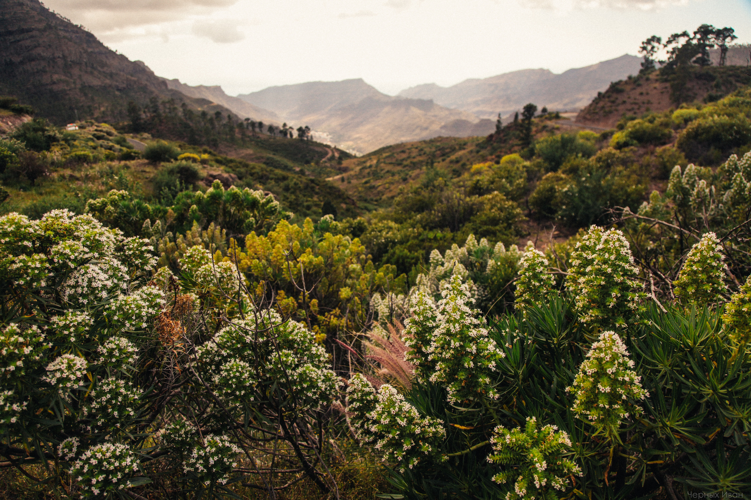 ИСПАНИЯ. Стрит-фотография, полная абсурда, идиотизма и красоты