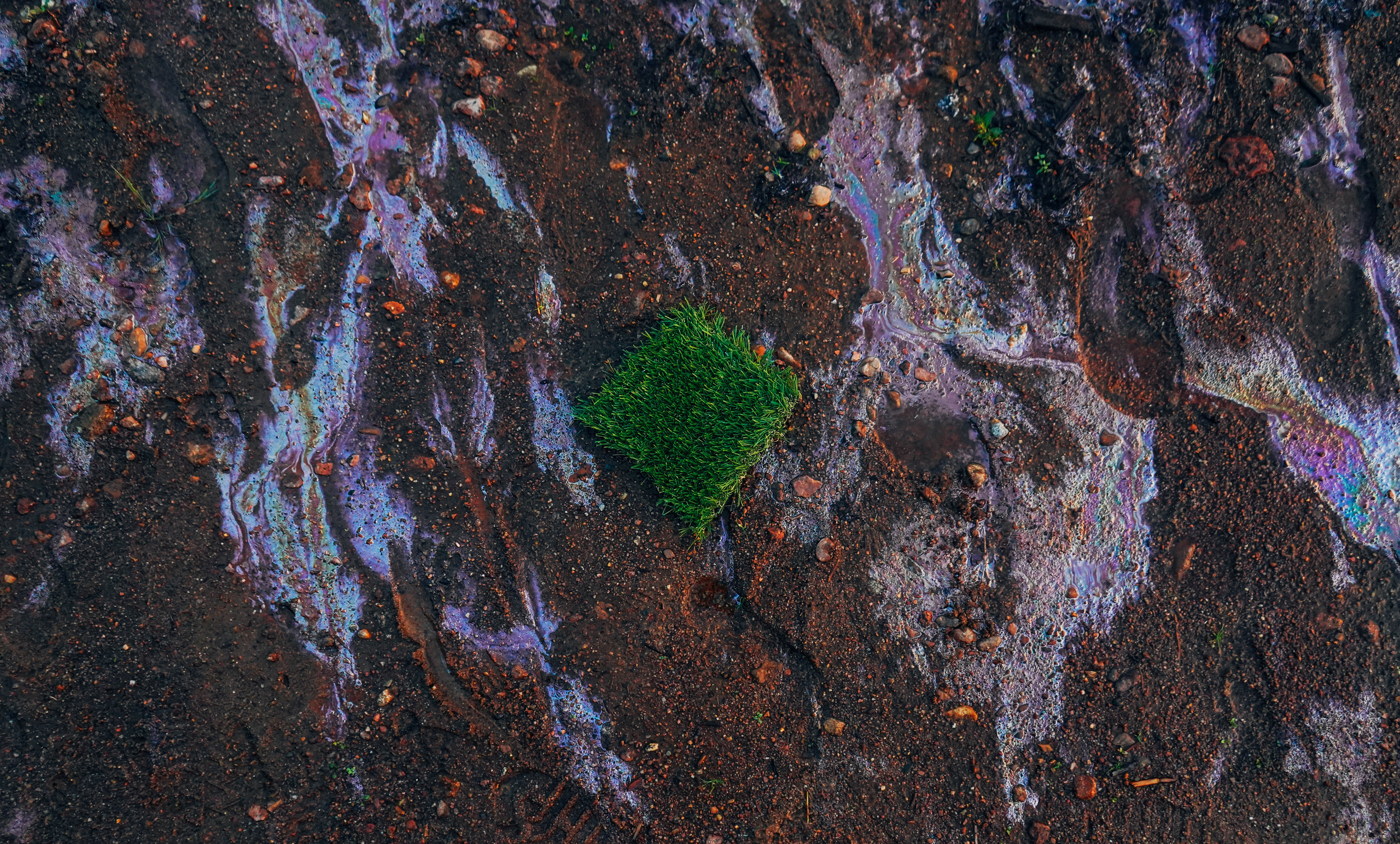 2018. Стрит-фотография, полная абсурда, идиотизма и красоты