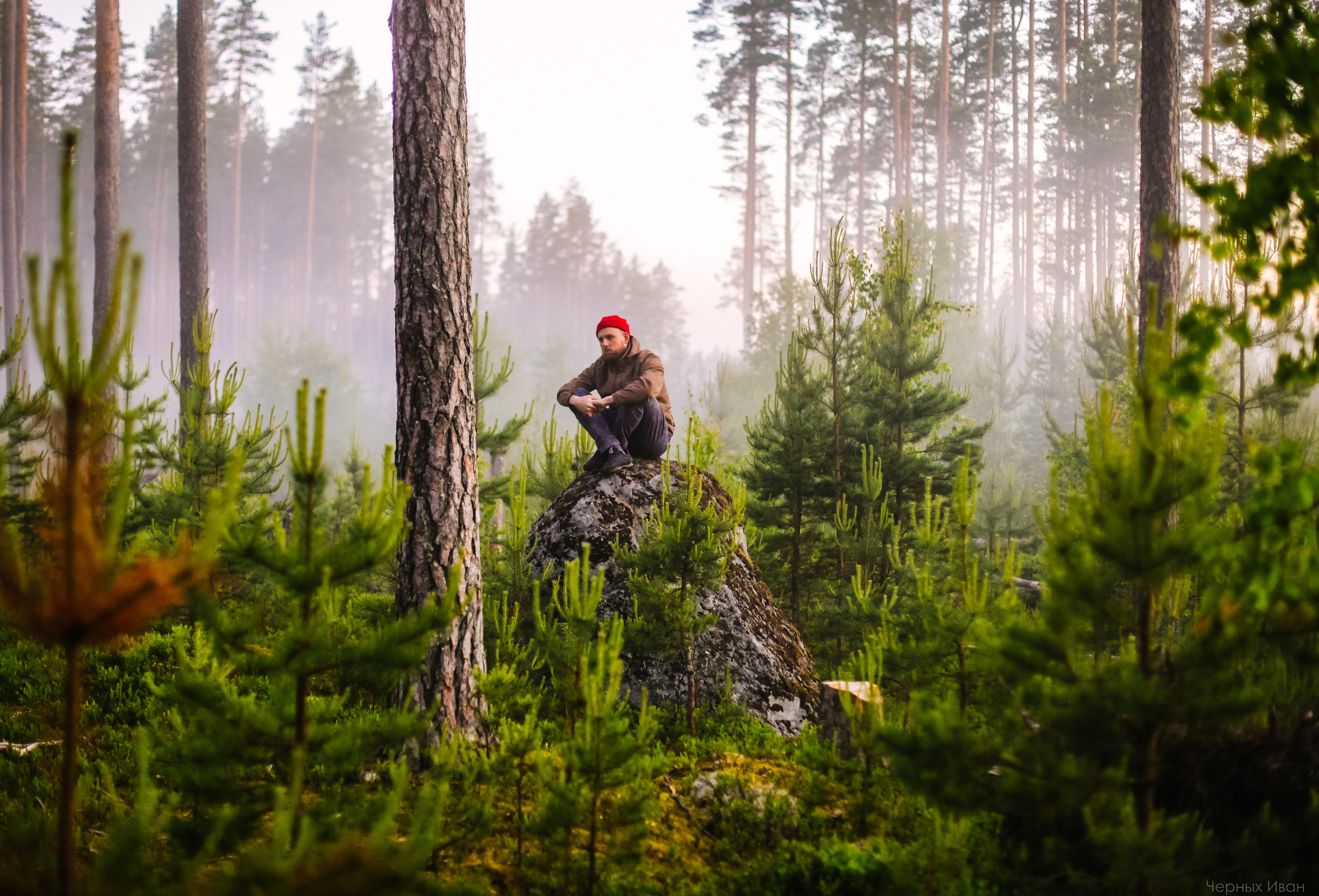 ПЕЙЗАЖИ. Стрит-фотография, полная абсурда, идиотизма и красоты
