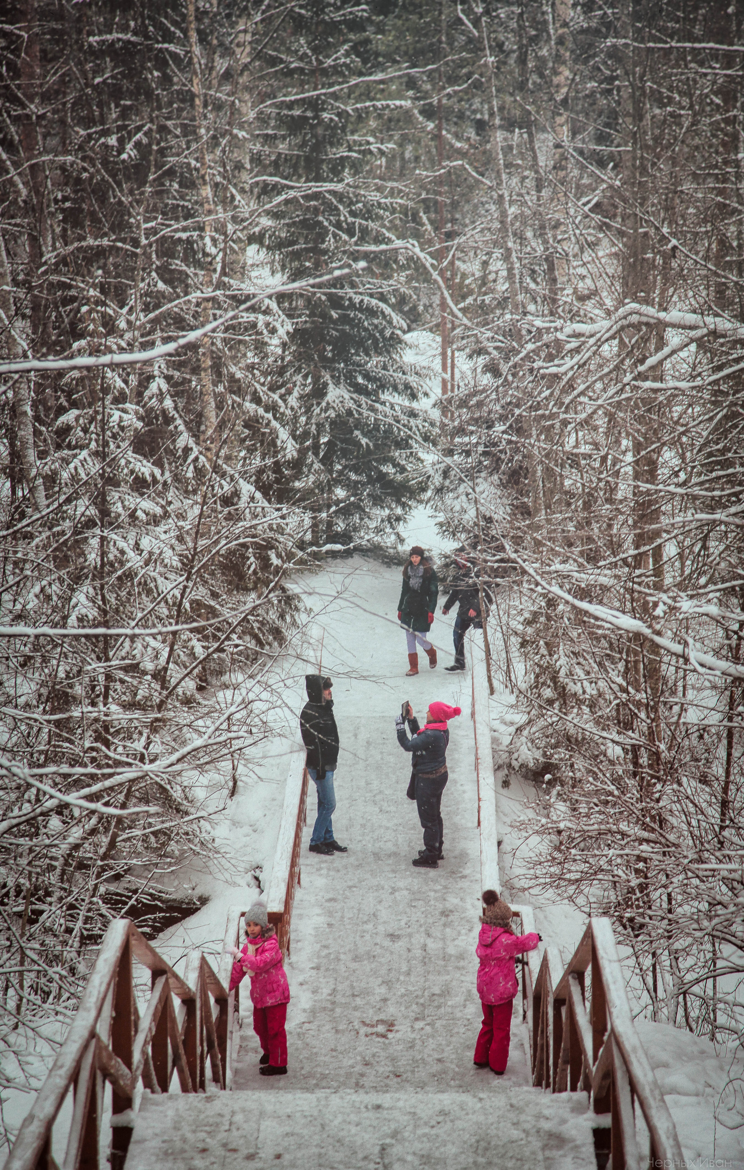 2015. Стрит-фотография, полная абсурда, идиотизма и красоты