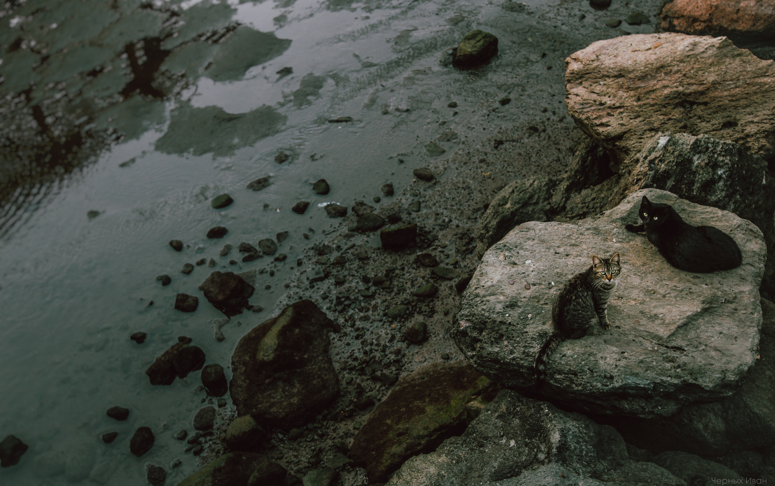 ИСПАНИЯ. Стрит-фотография, полная абсурда, идиотизма и красоты