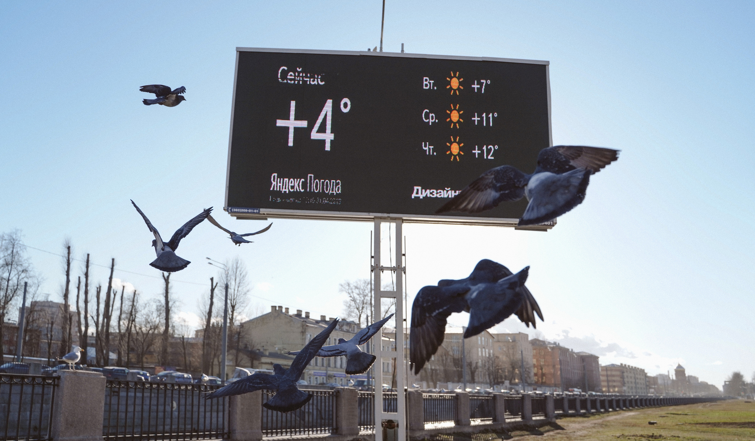 2019. Стрит-фотография, полная абсурда, идиотизма и красоты