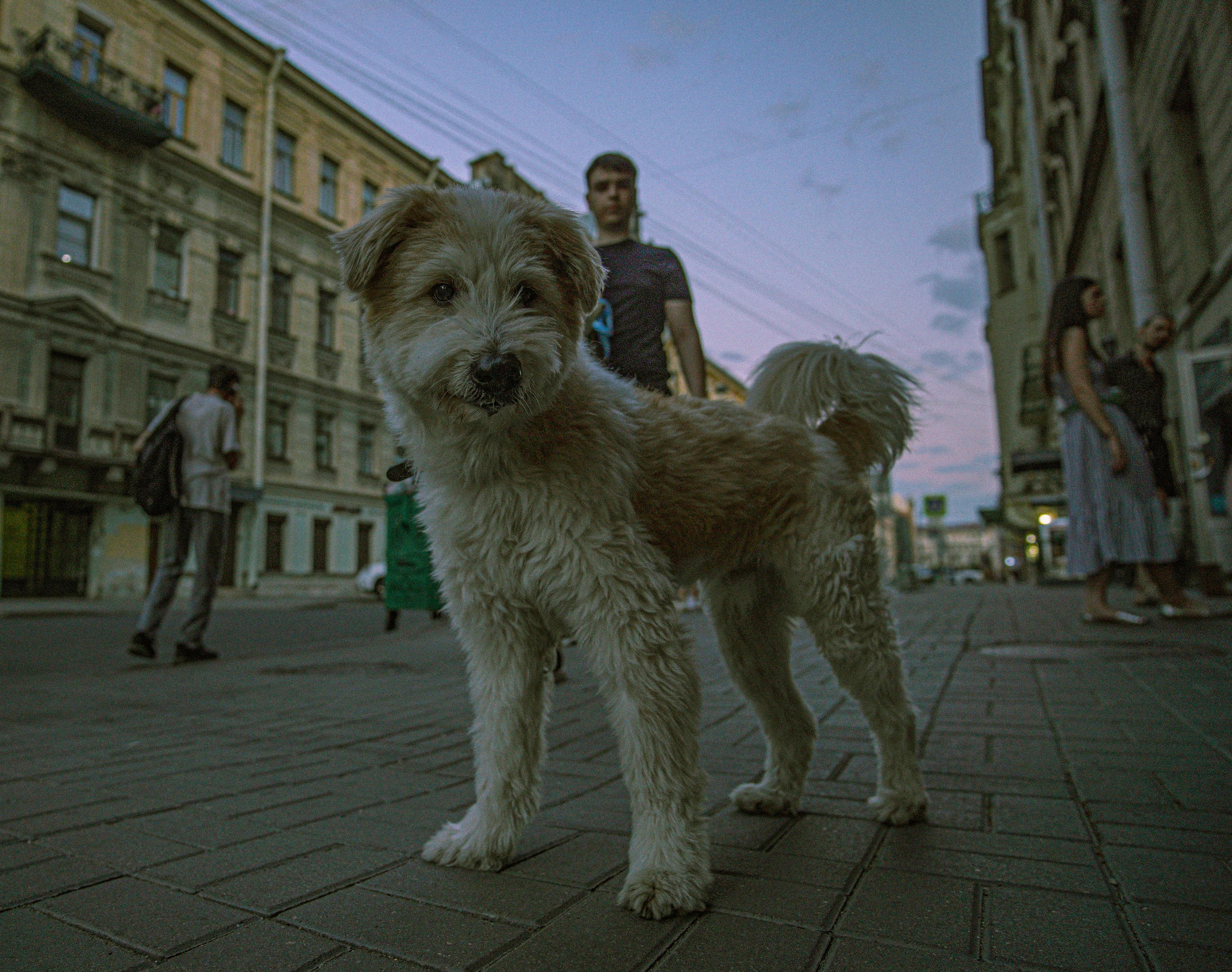 2021. Стрит-фотография, полная абсурда, идиотизма и красоты