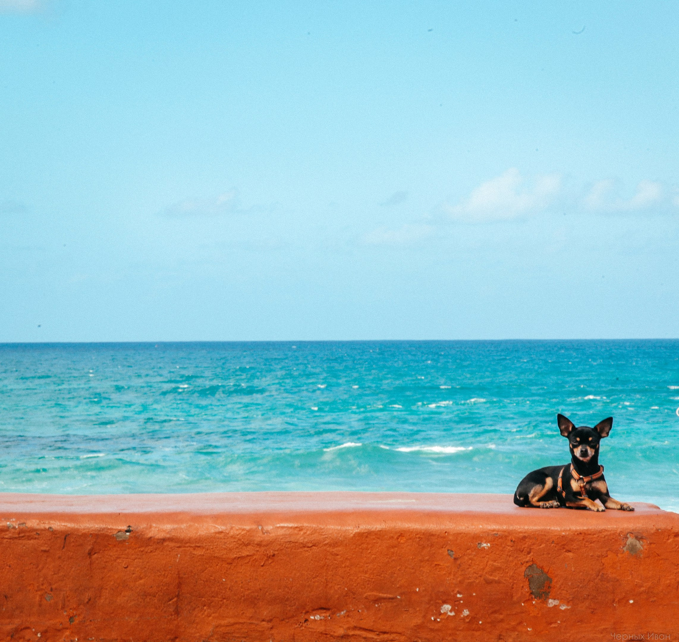 BEST OF. Стрит-фотография, полная абсурда, идиотизма и красоты