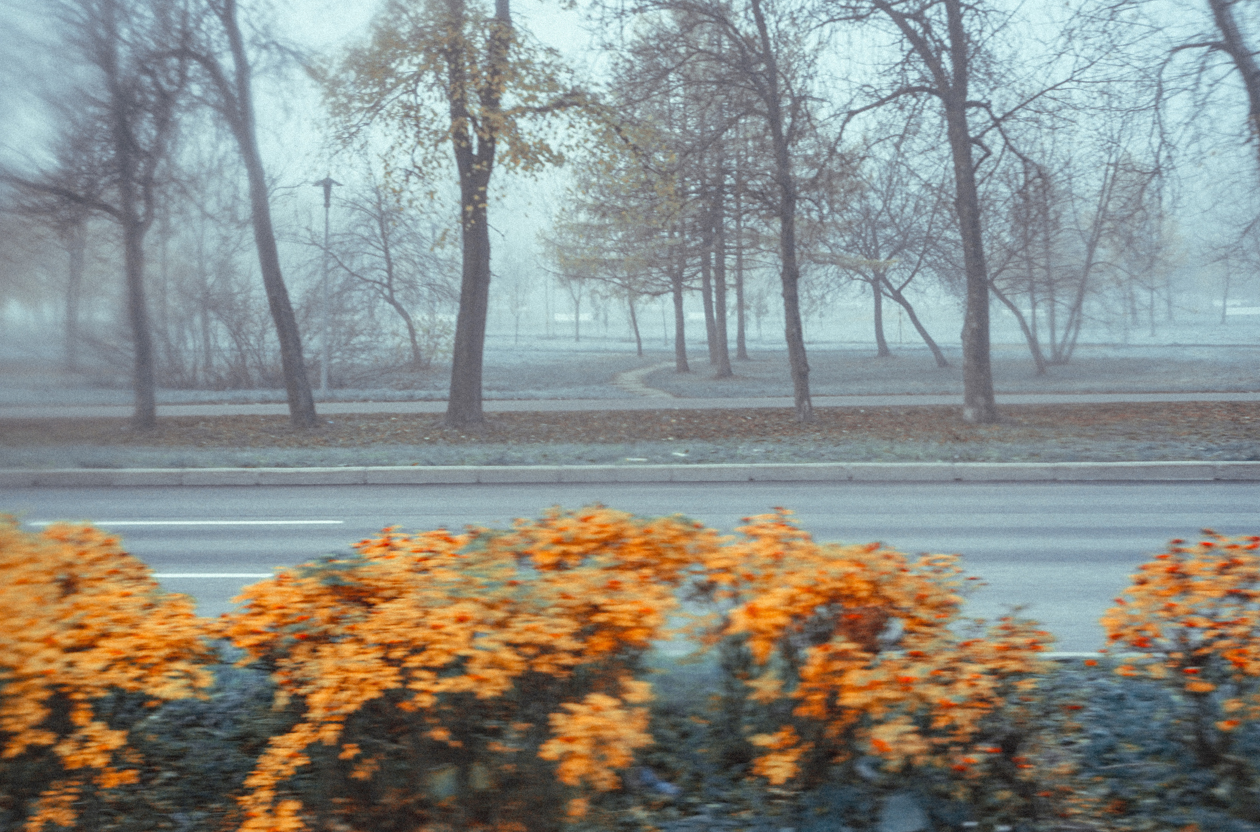 2020. Стрит-фотография, полная абсурда, идиотизма и красоты