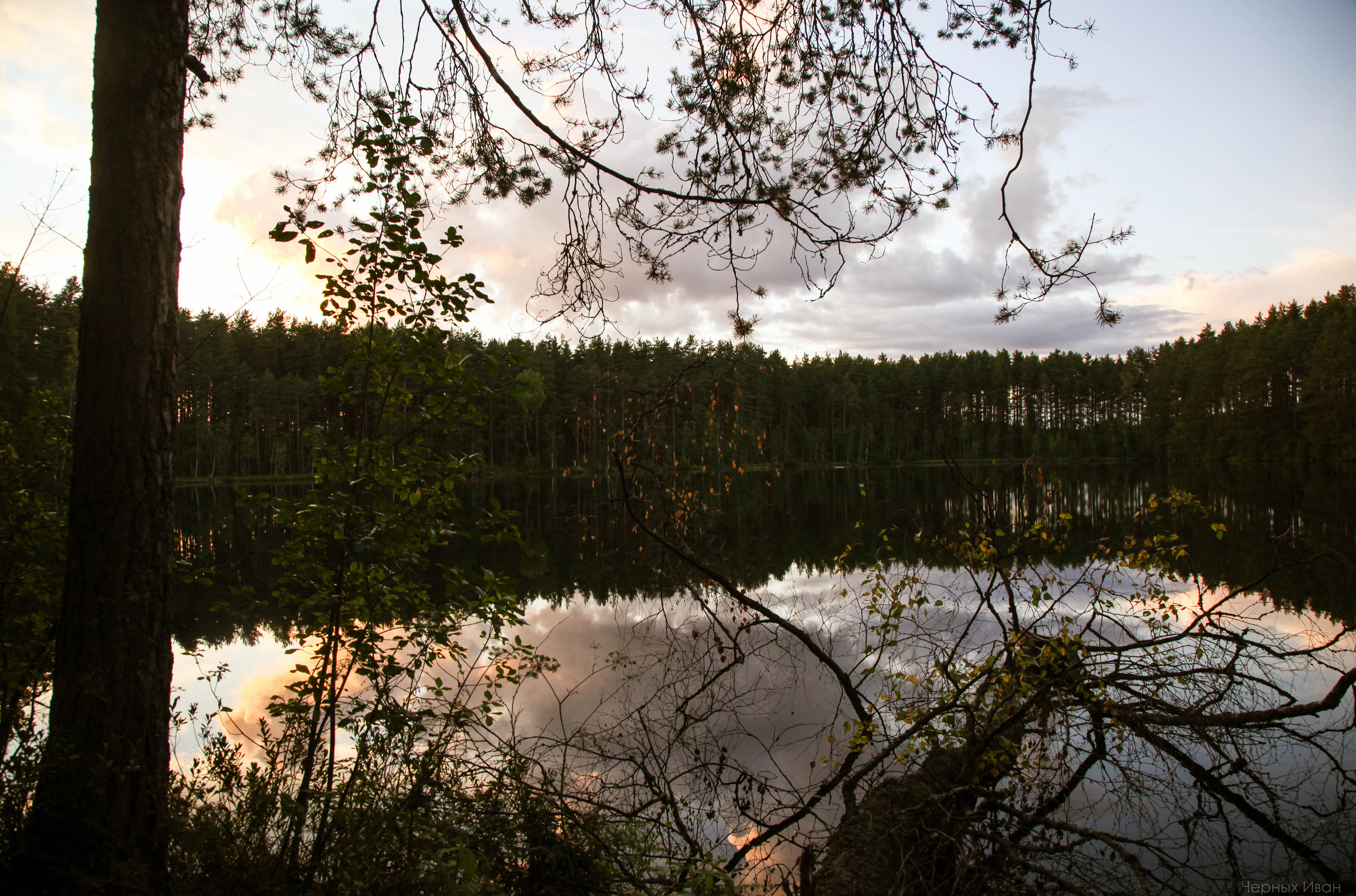 2015. Стрит-фотография, полная абсурда, идиотизма и красоты